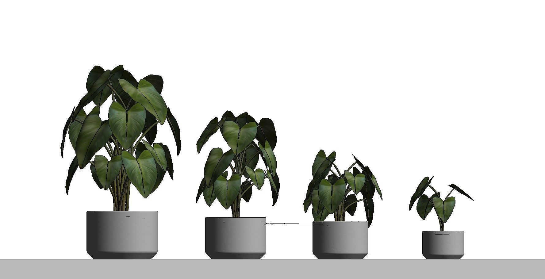 Revit Family plant - four sizes- High quality 3D model 3D model_41