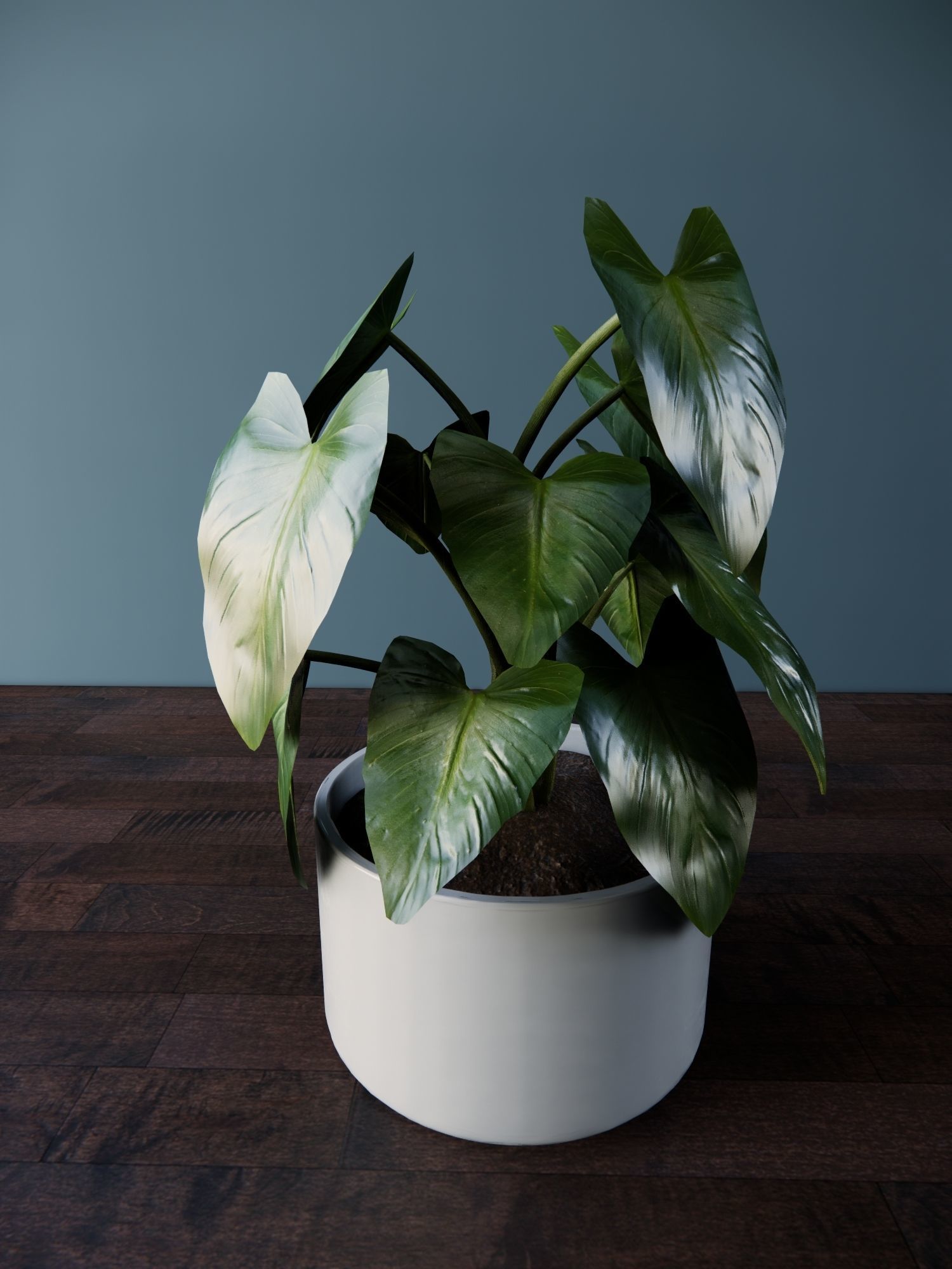 Revit Family plant - four sizes- High quality 3D model 3D model_8