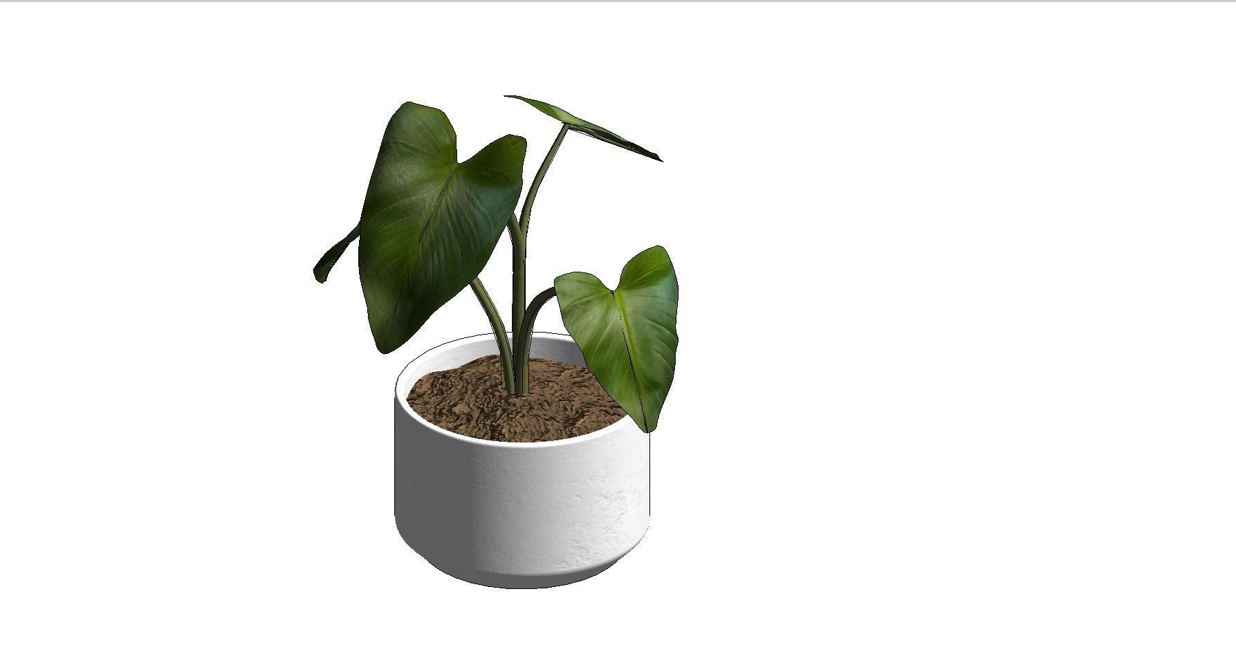 Revit Family plant - four sizes- High quality 3D model 3D model_15