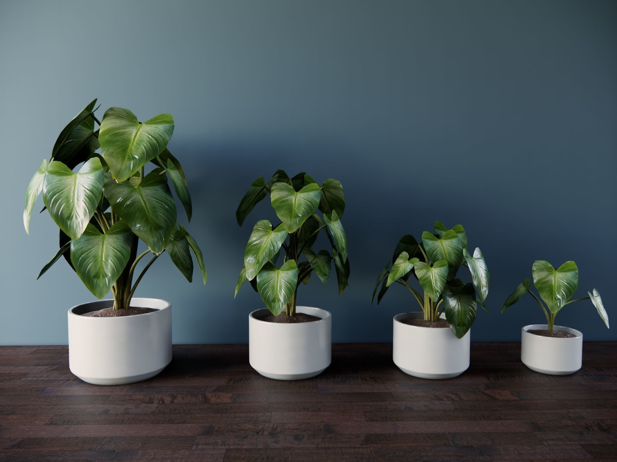 Revit Family plant - four sizes- High quality 3D model 3D model_1