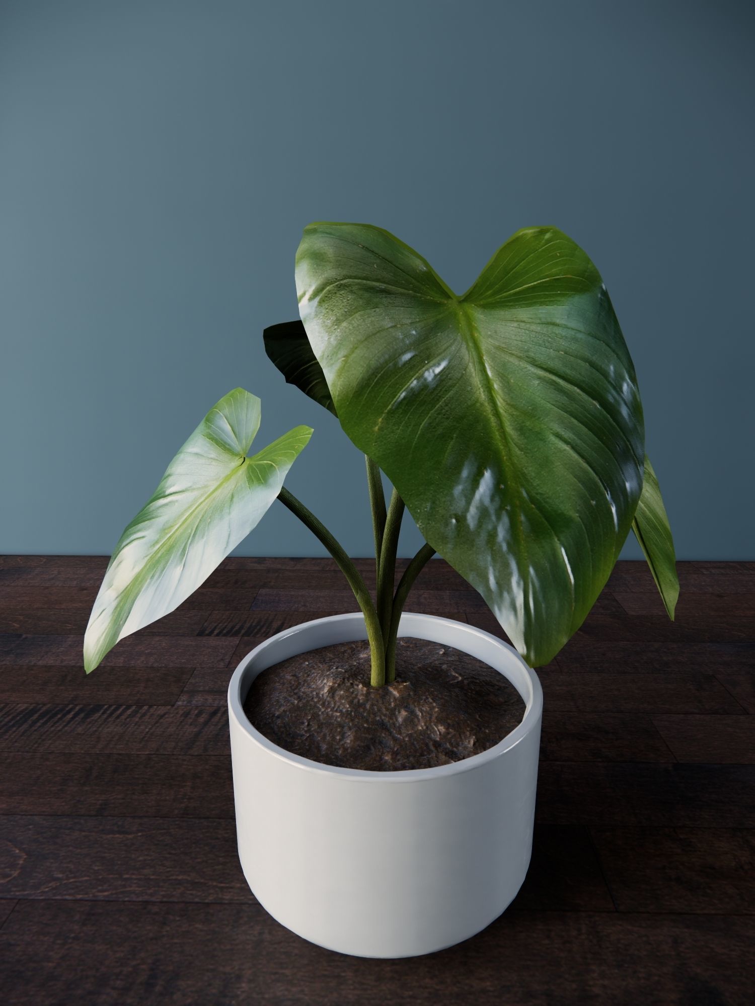 Revit Family plant - four sizes- High quality 3D model 3D model_10