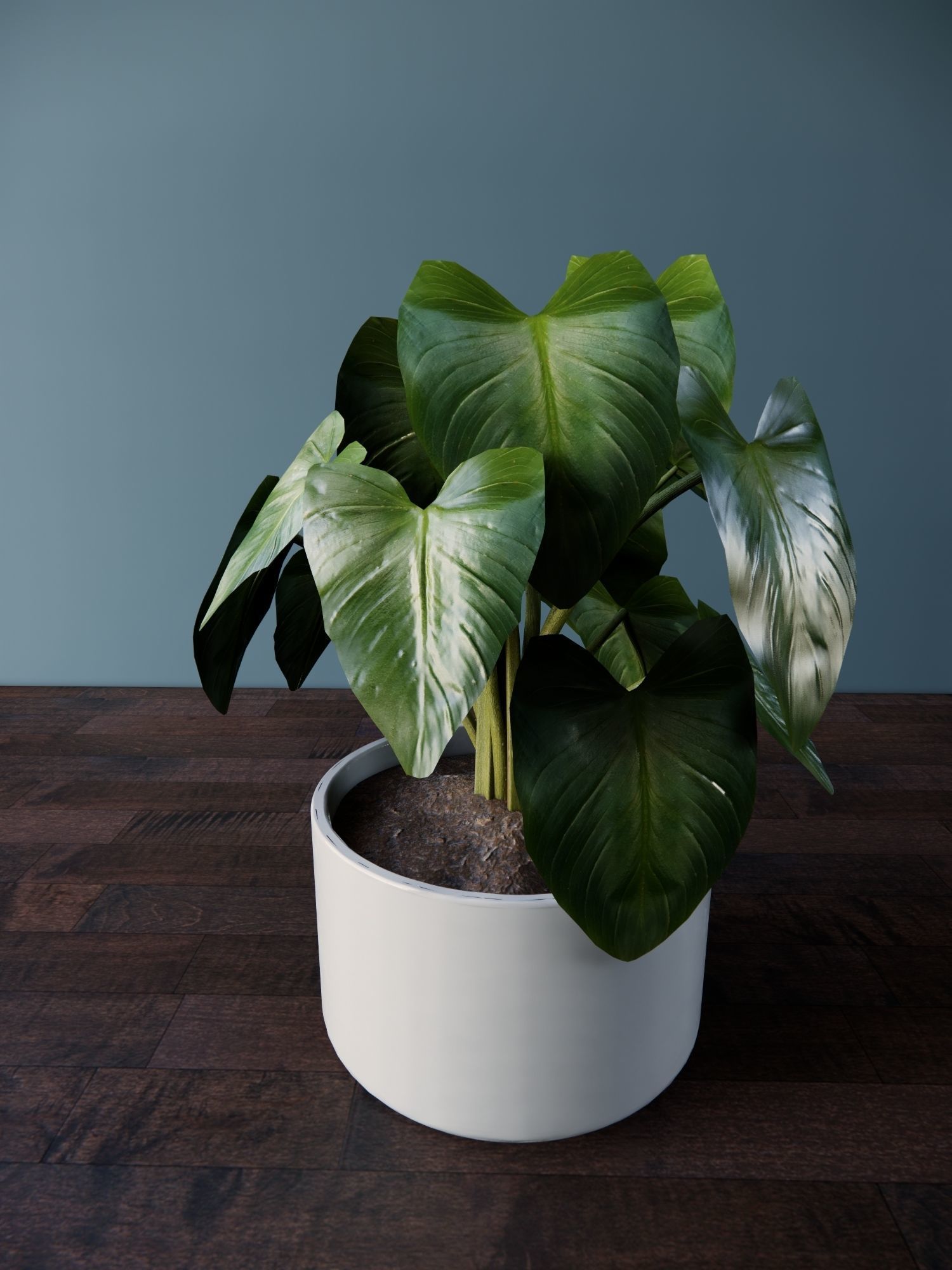 Revit Family plant - four sizes- High quality 3D model 3D model_9