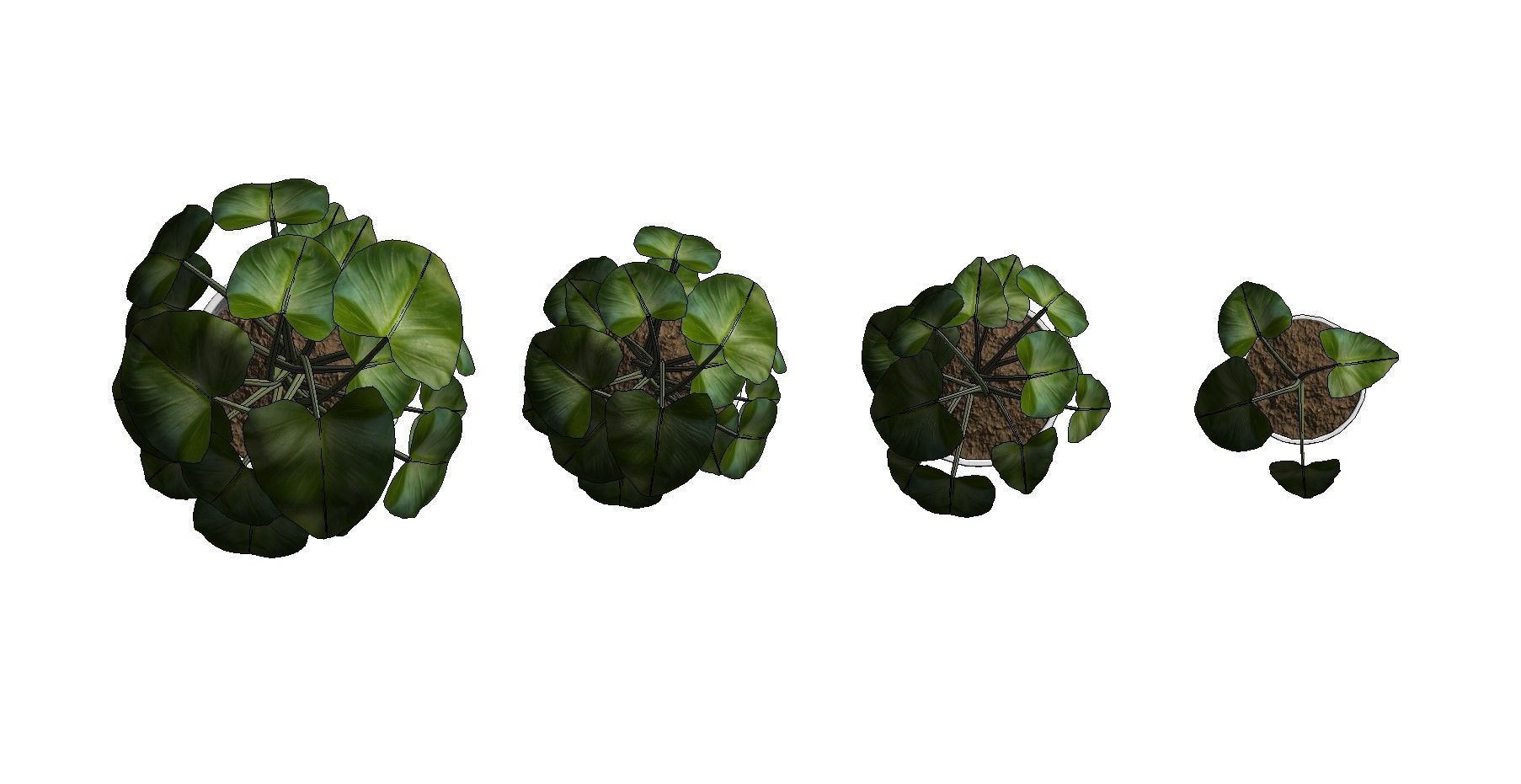 Revit Family plant - four sizes- High quality 3D model 3D model_40