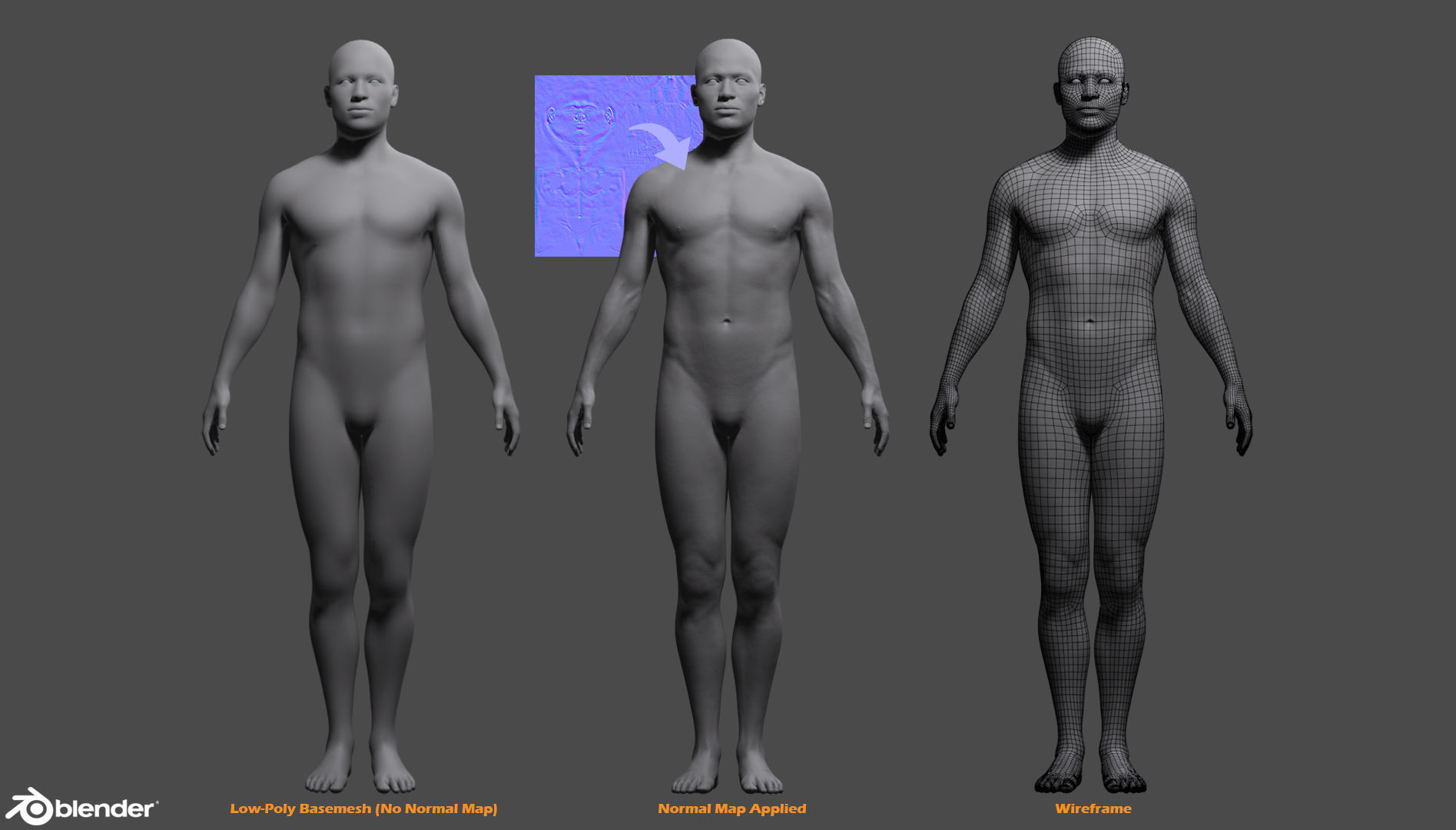 Male Custom Basemesh Lowpoly For Blender Low-poly 3D model_3