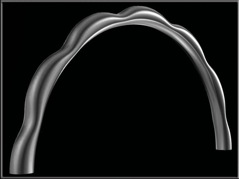 Flower Petals Band Ring - Half  Low-poly 3D model_2