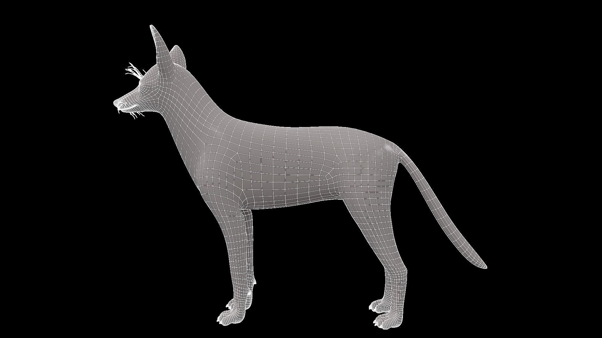 Realistic jackal animal 3d model  3D model_4