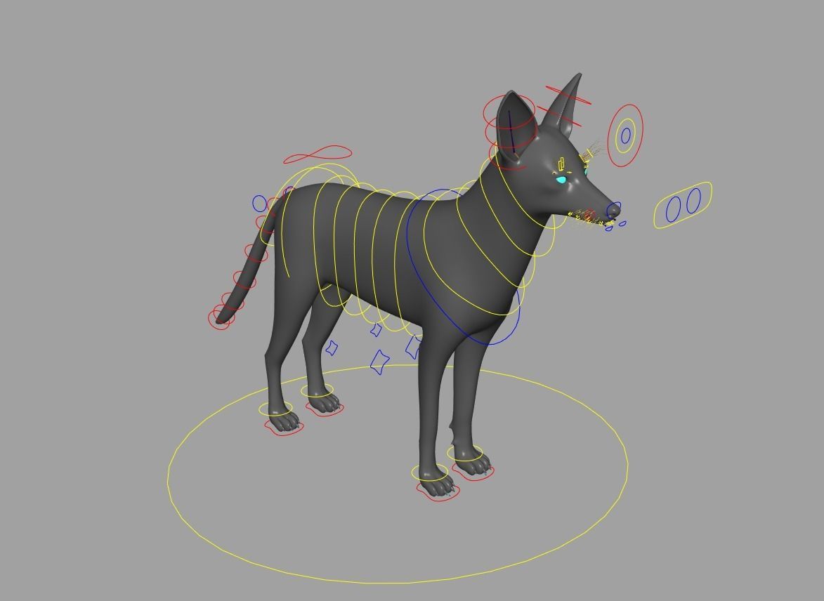Realistic jackal animal 3d model  3D model_2