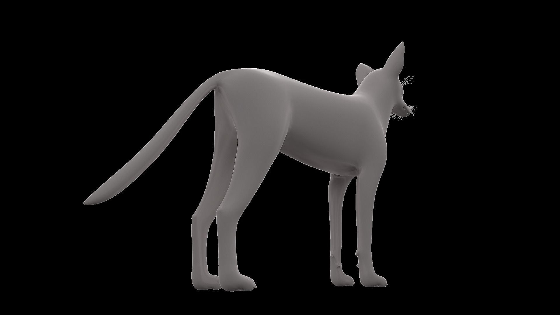 Realistic jackal animal 3d model  3D model_14