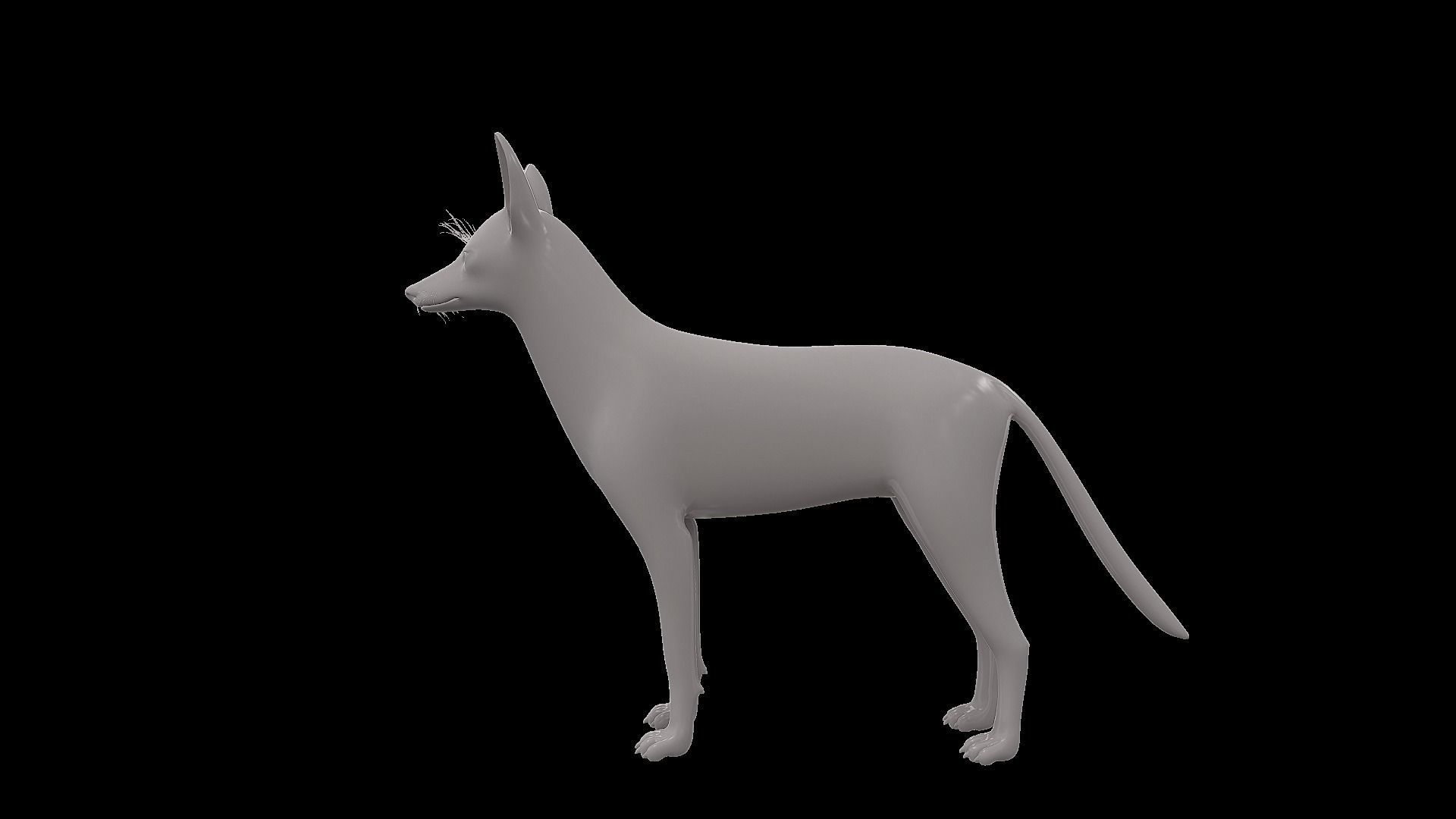 Realistic jackal animal 3d model  3D model_9