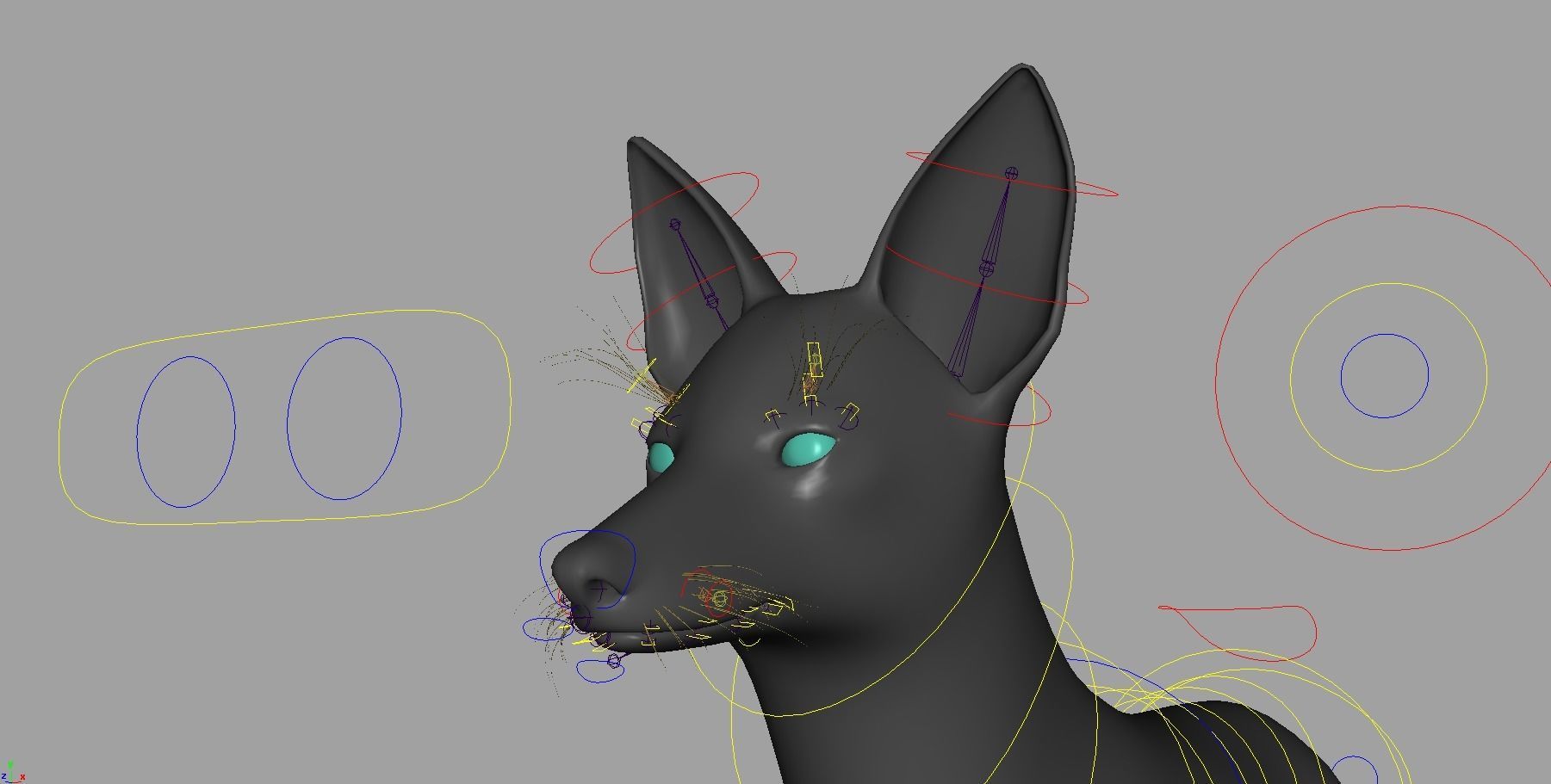 Realistic jackal animal 3d model  3D model_3