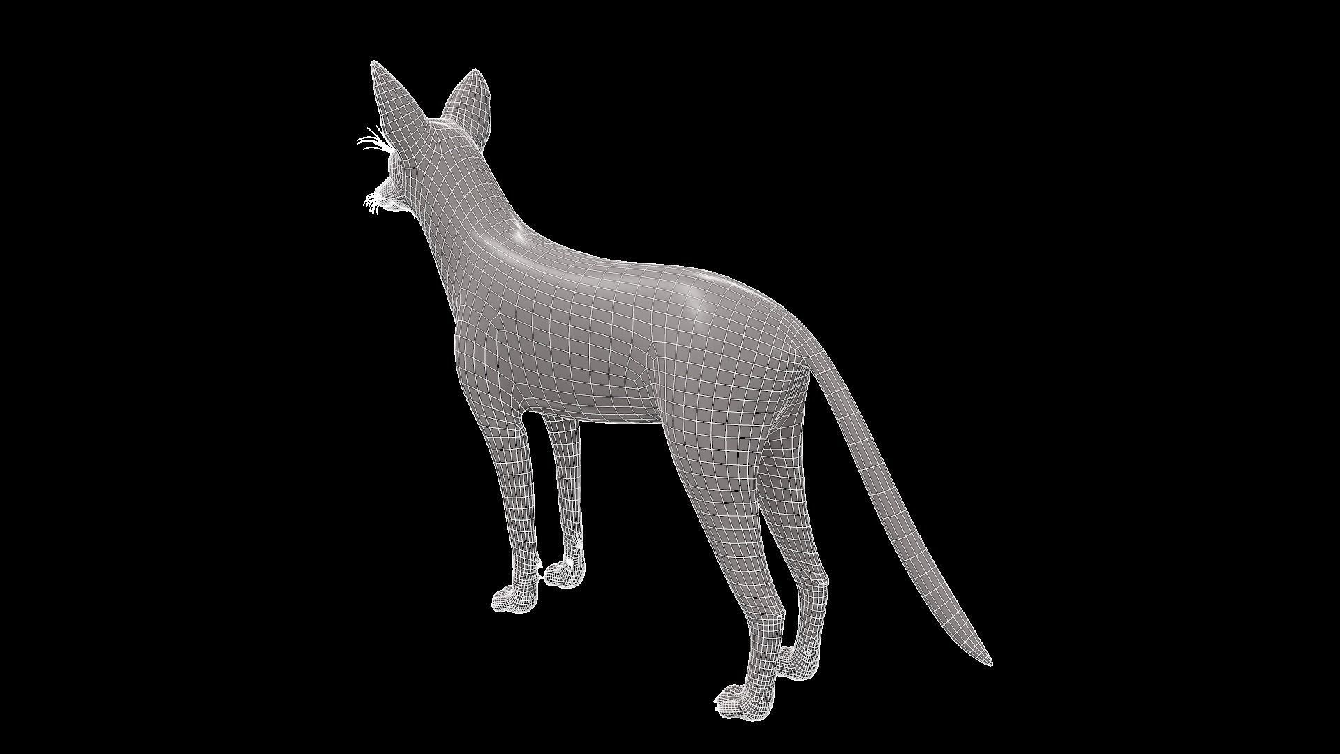 Realistic jackal animal 3d model  3D model_5