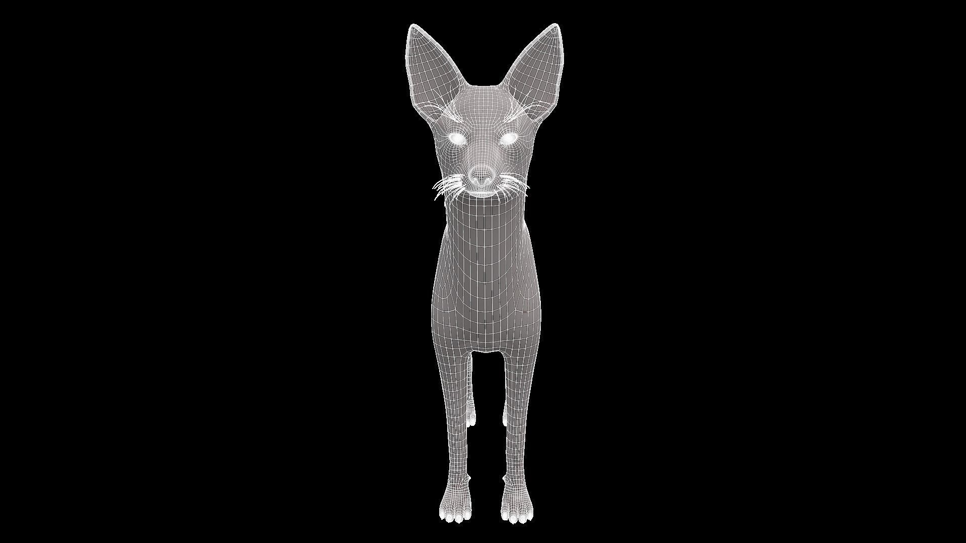 Realistic jackal animal 3d model  3D model_6
