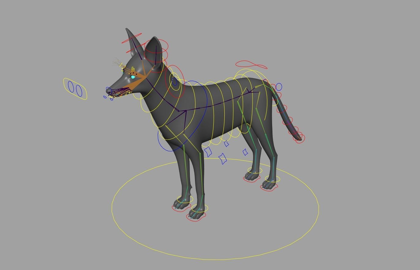 Realistic jackal animal 3d model  3D model_1