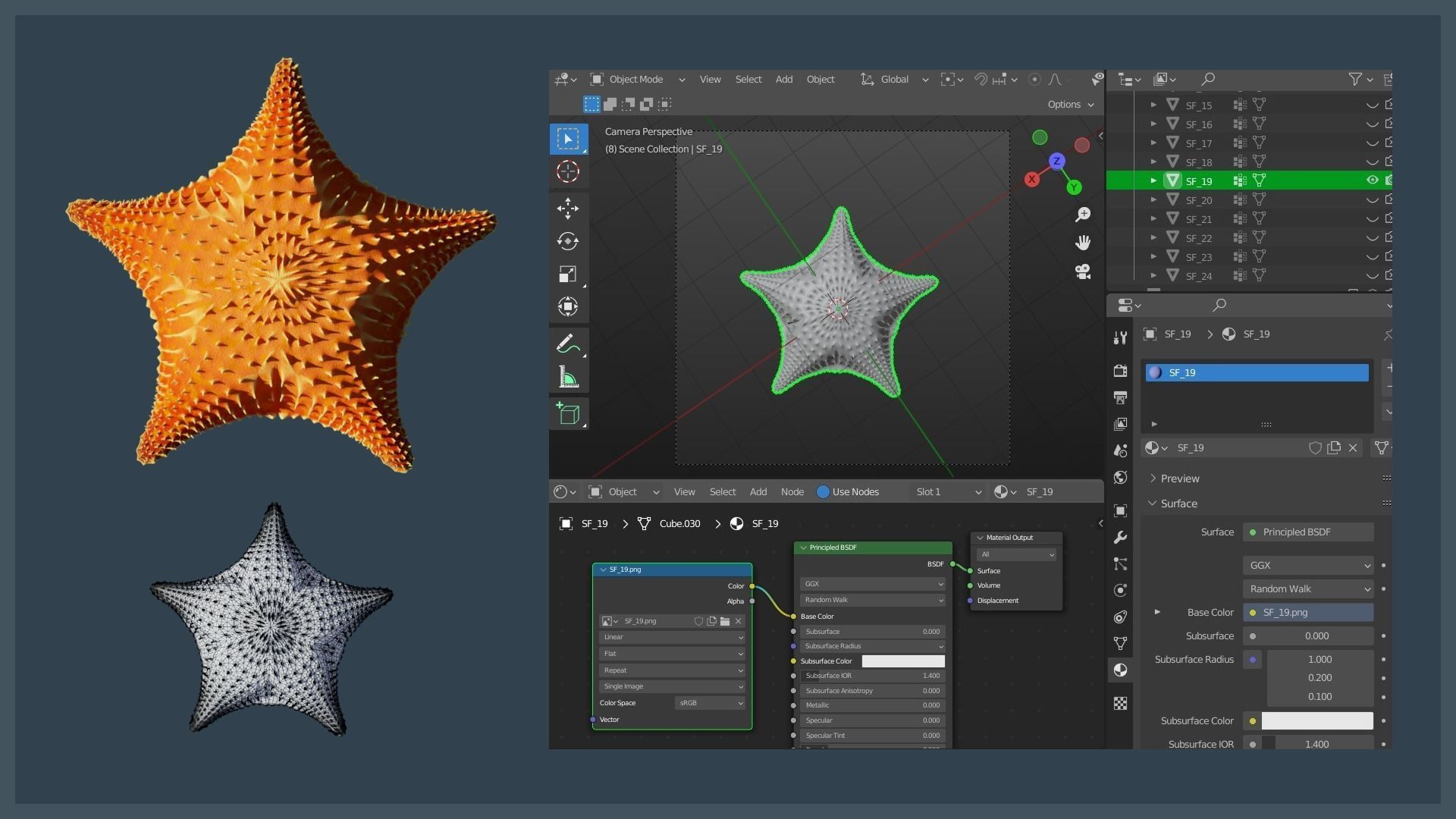 Starfish Variety Pack 4 Low-poly 3D model_4