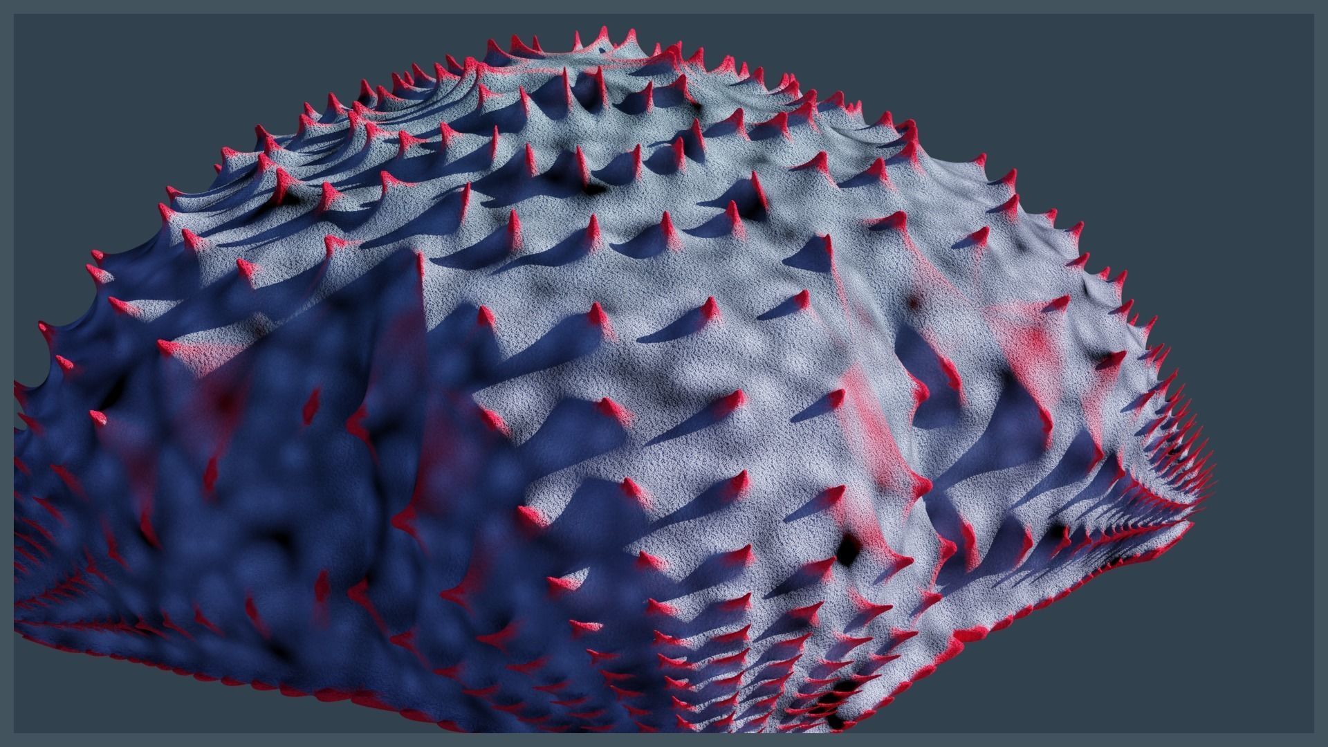 Starfish Variety Pack 4 Low-poly 3D model_10