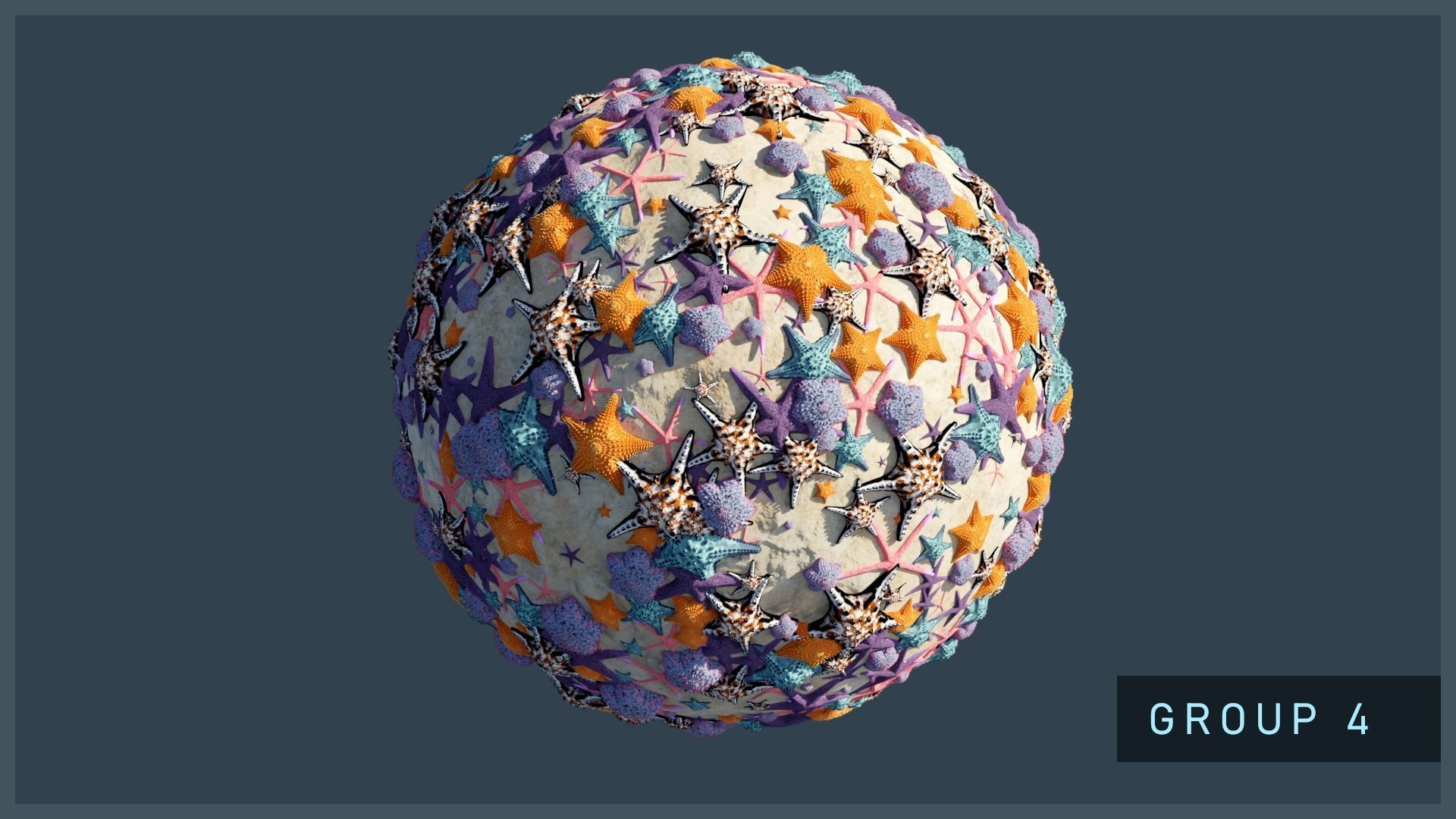 Starfish Variety Pack 4 Low-poly 3D model_6