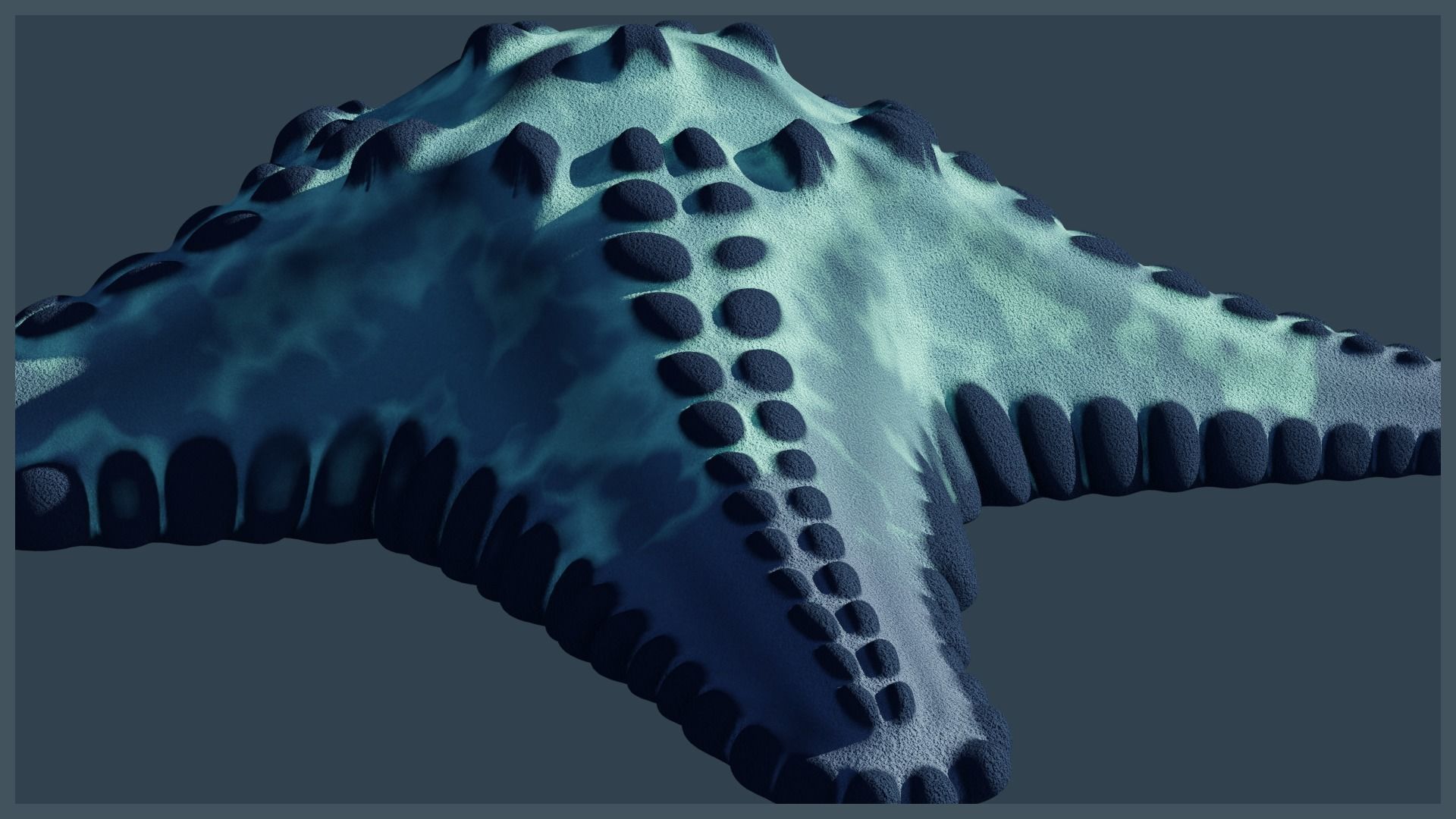 Starfish Variety Pack 4 Low-poly 3D model_9