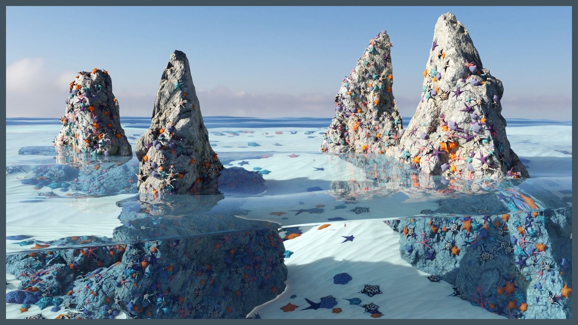 Starfish Variety Pack 4 Low-poly 3D model_1