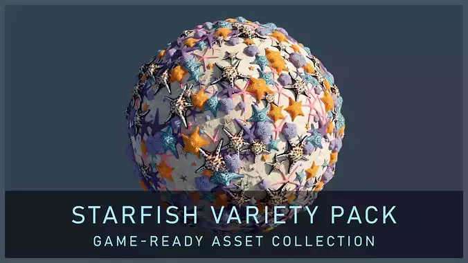 Starfish Variety Pack 4 Low-poly 3D model