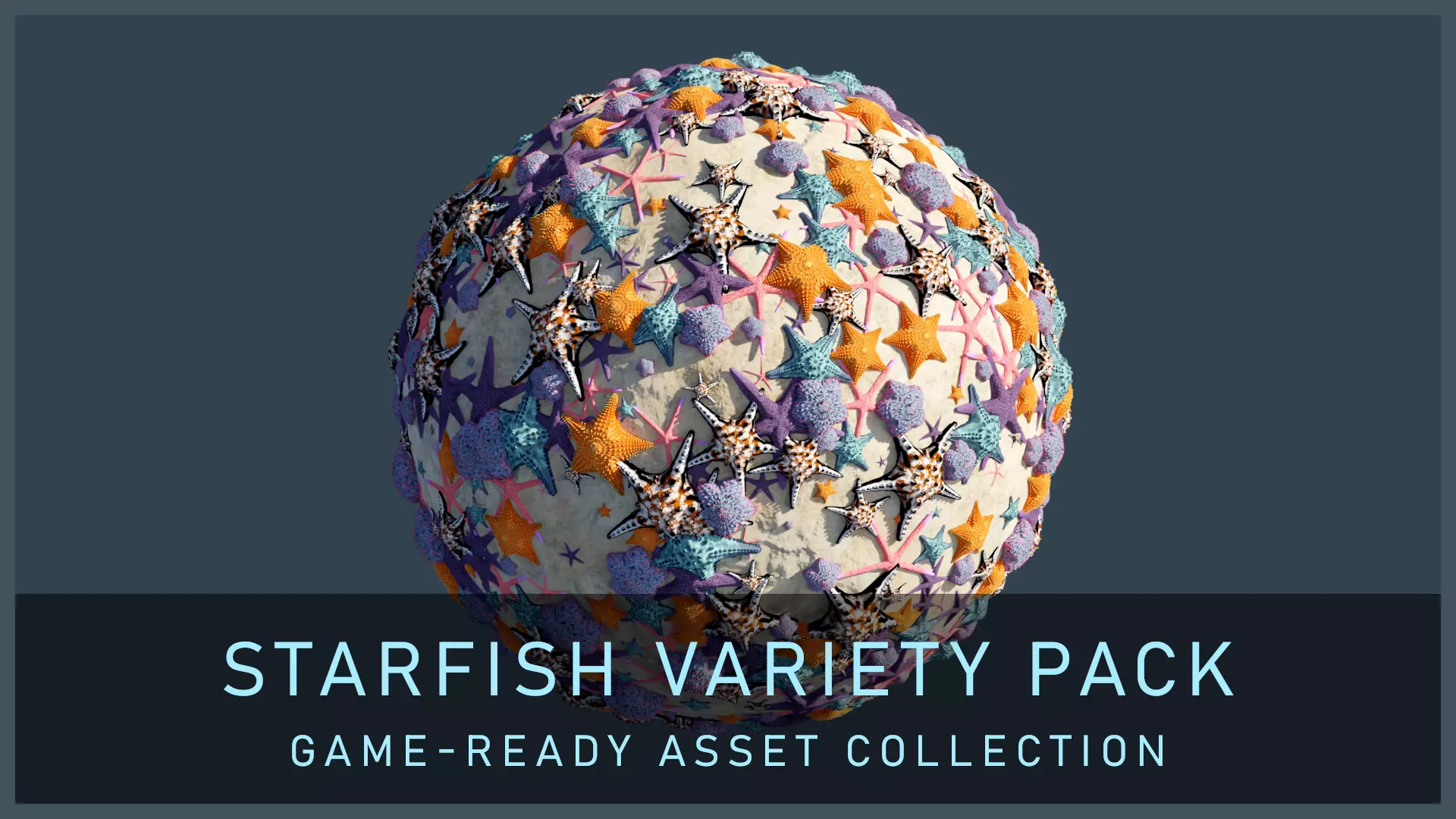 Starfish Variety Pack 4 Low-poly 3D model_0