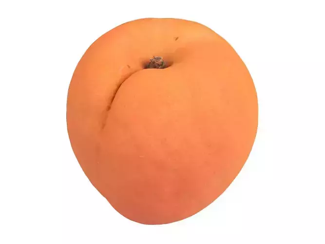 Photorealistic Apricot 3D Scan 2