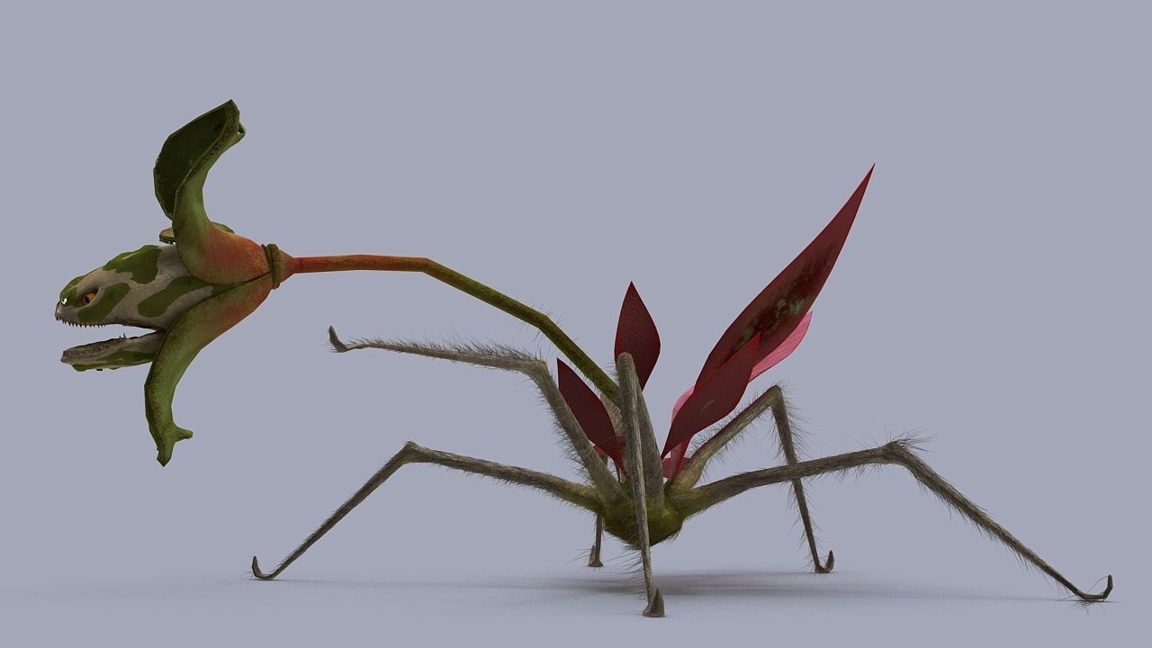 Strange flower  3D model_7