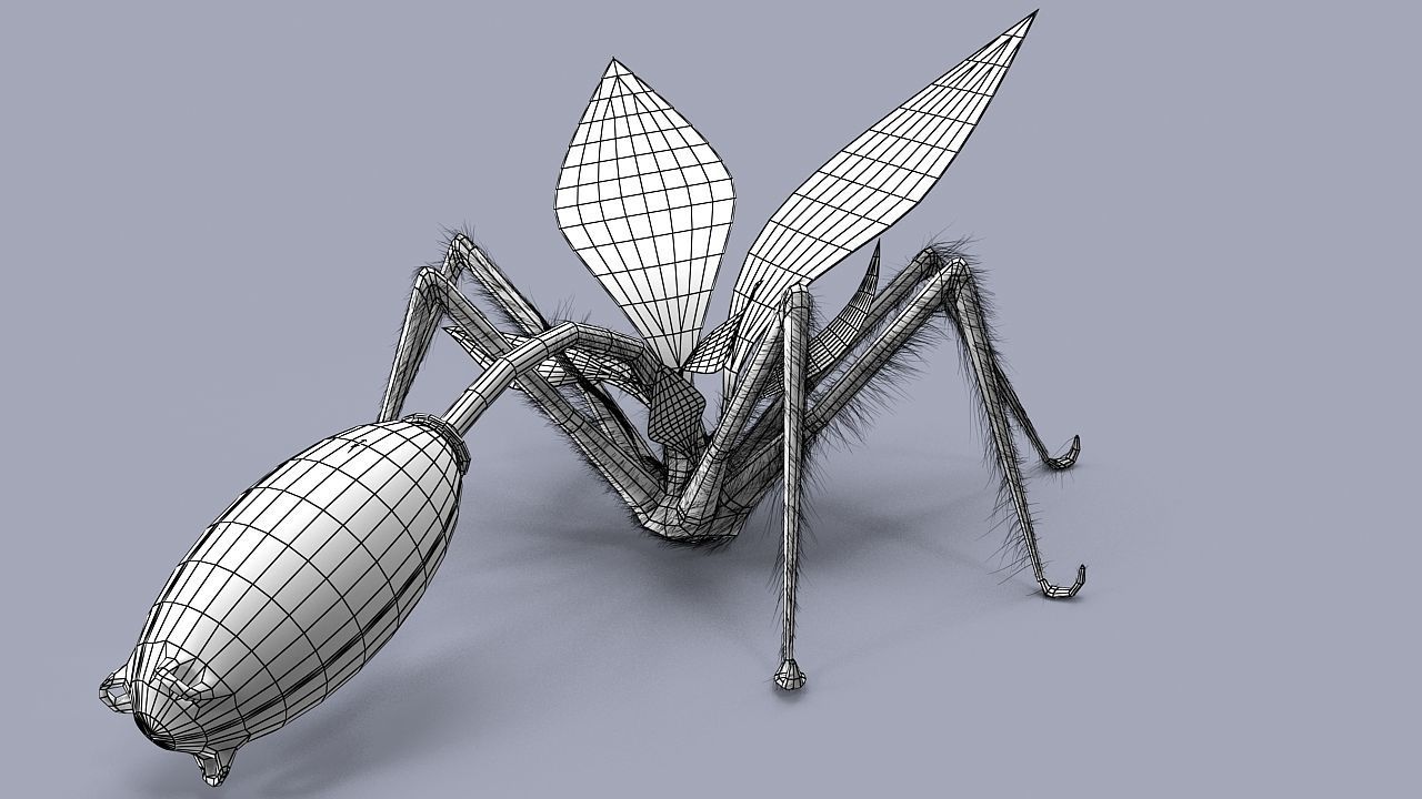 Strange flower  3D model_8