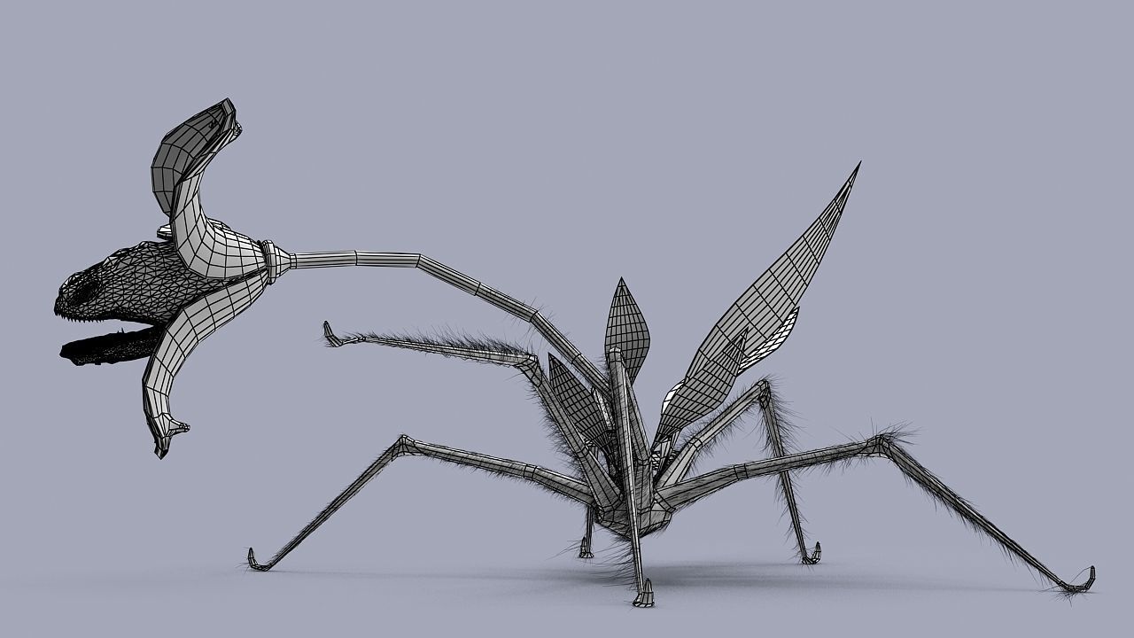 Strange flower  3D model_13