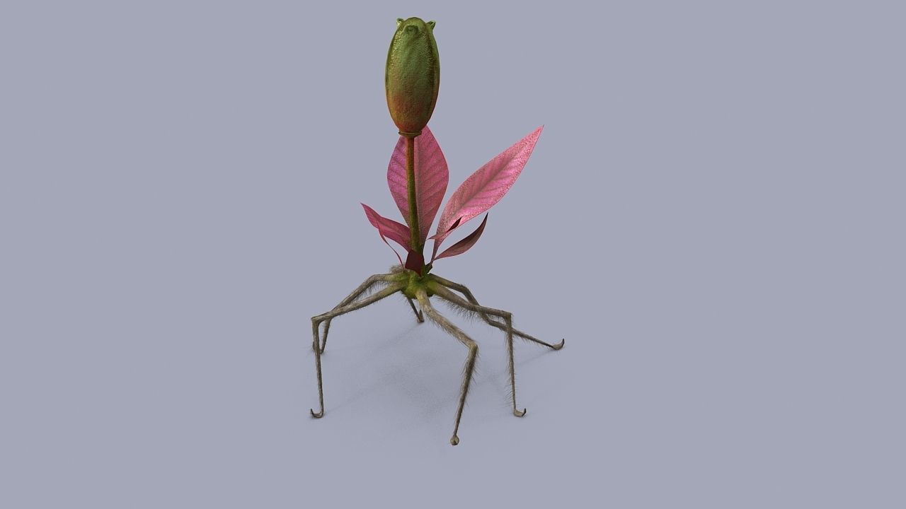 Strange flower  3D model_3