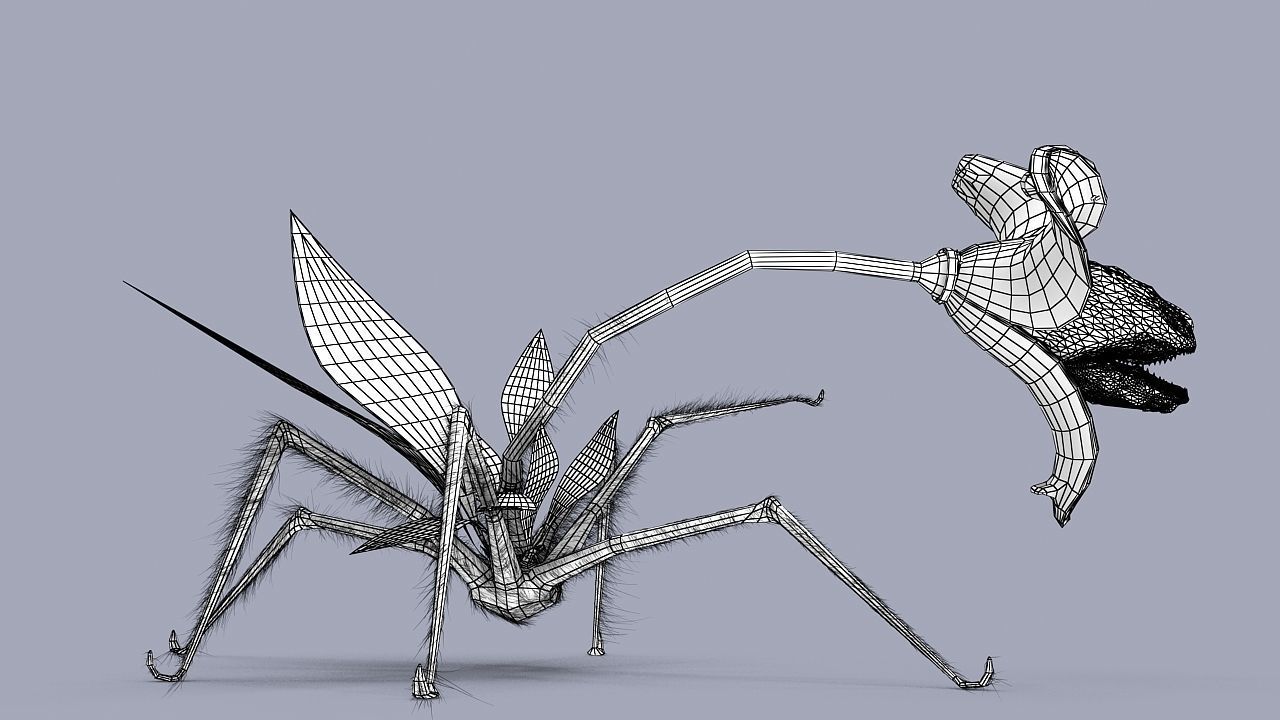 Strange flower  3D model_12