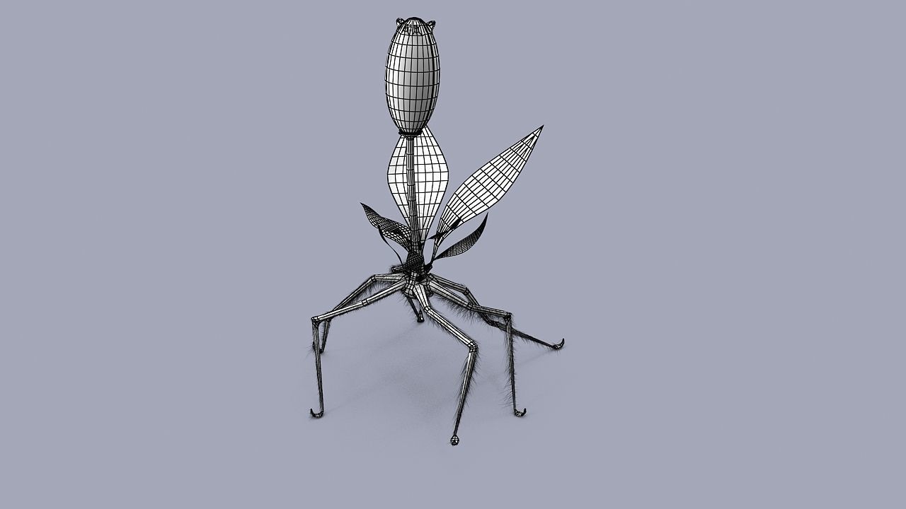 Strange flower  3D model_9