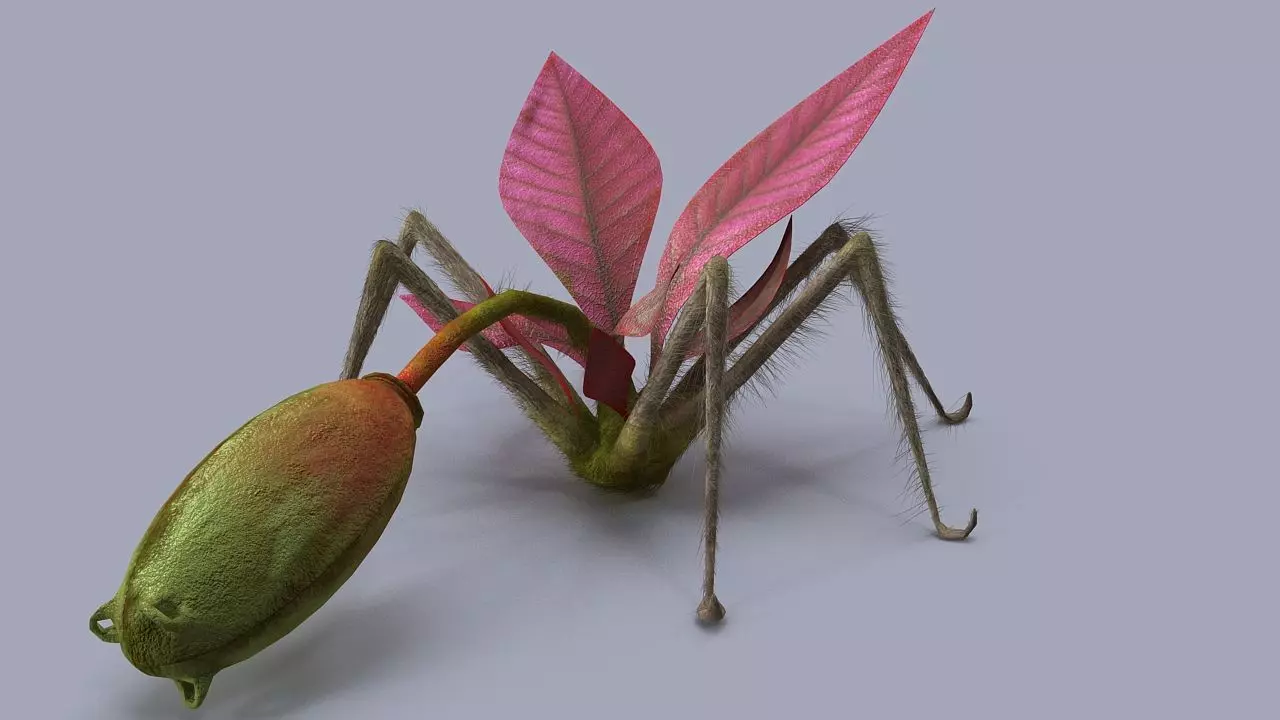 Strange flower  3D model_0