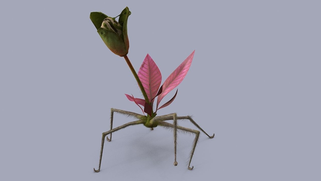 Strange flower  3D model_4