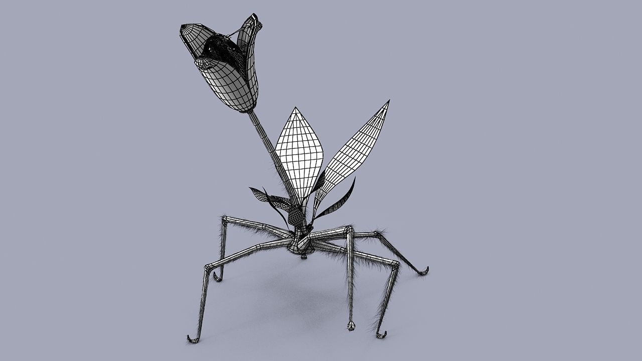 Strange flower  3D model_10