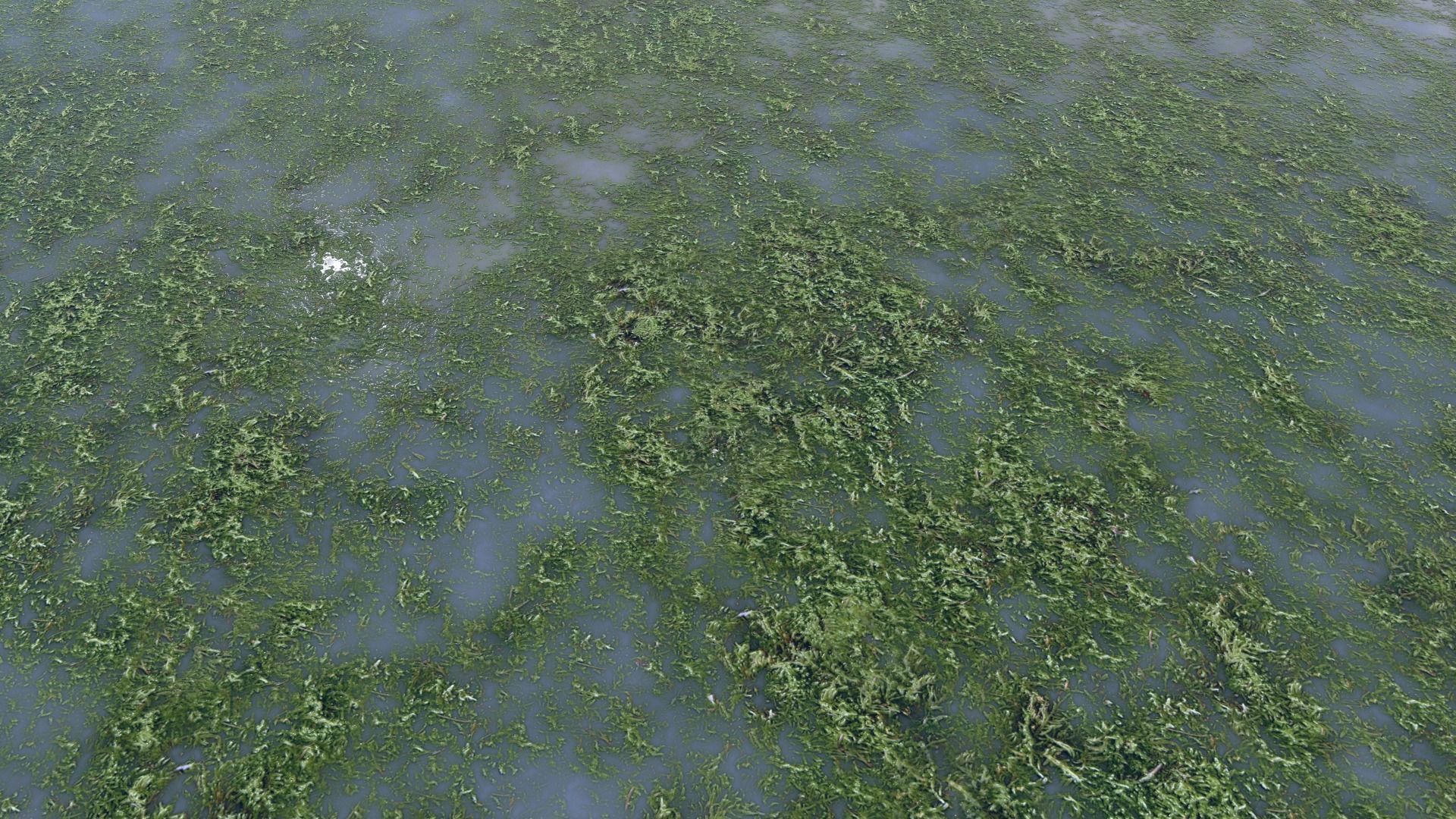 Water with algae PBR Texture_25