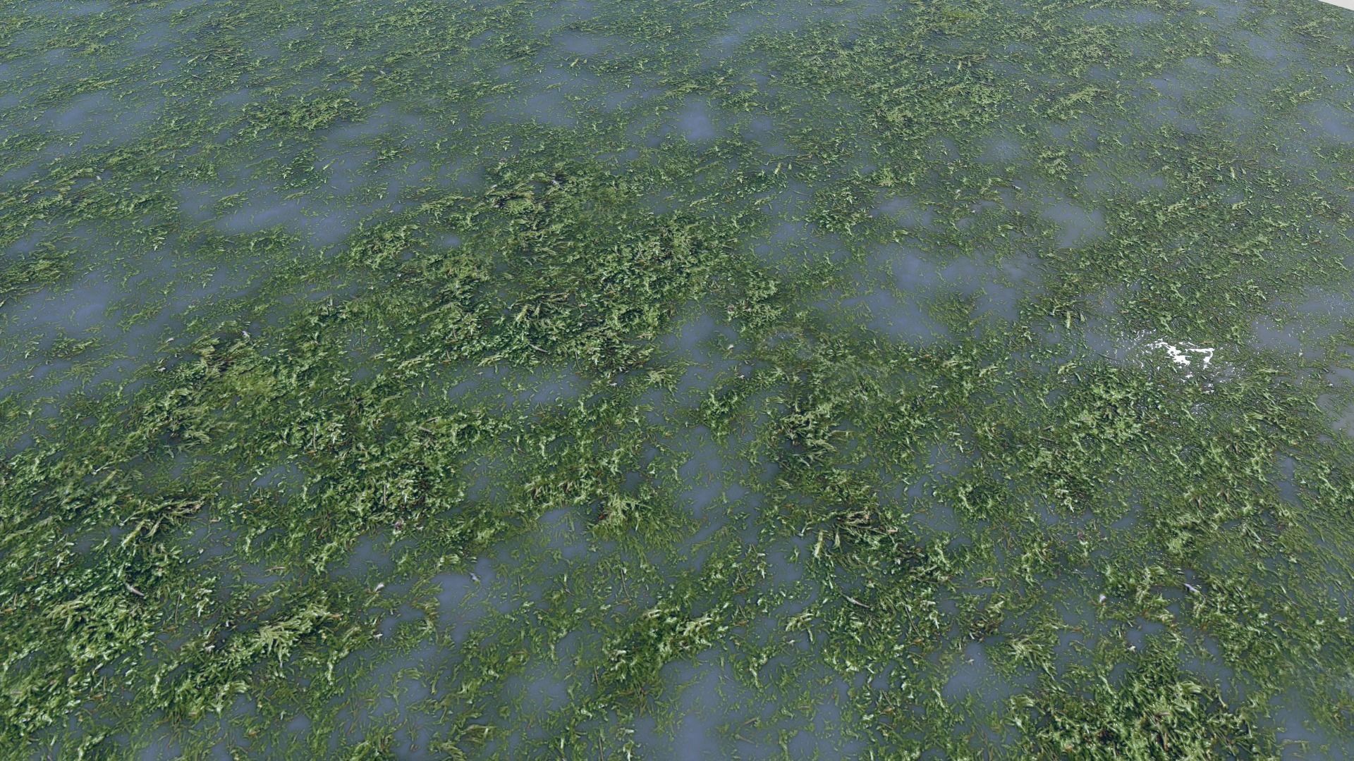 Water with algae PBR Texture_23