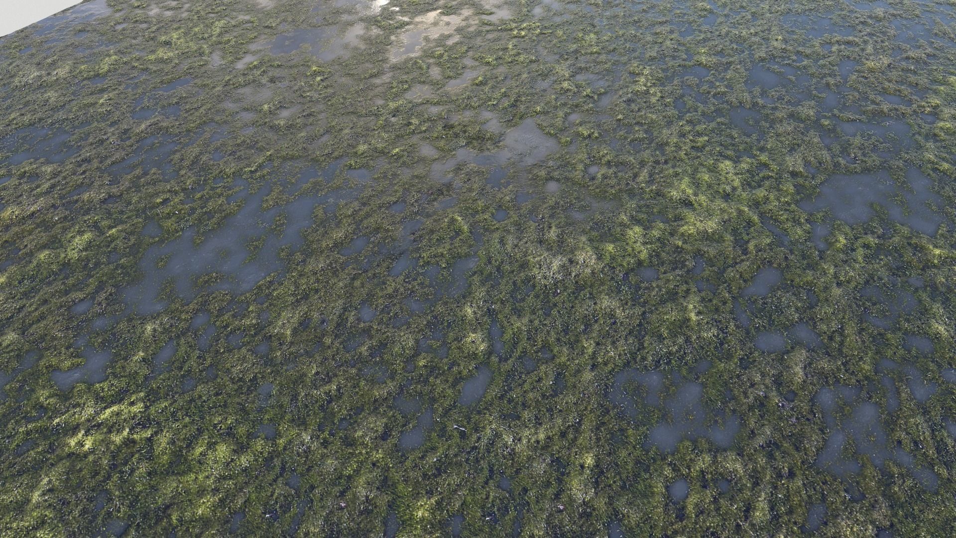 Water with algae PBR Texture_20