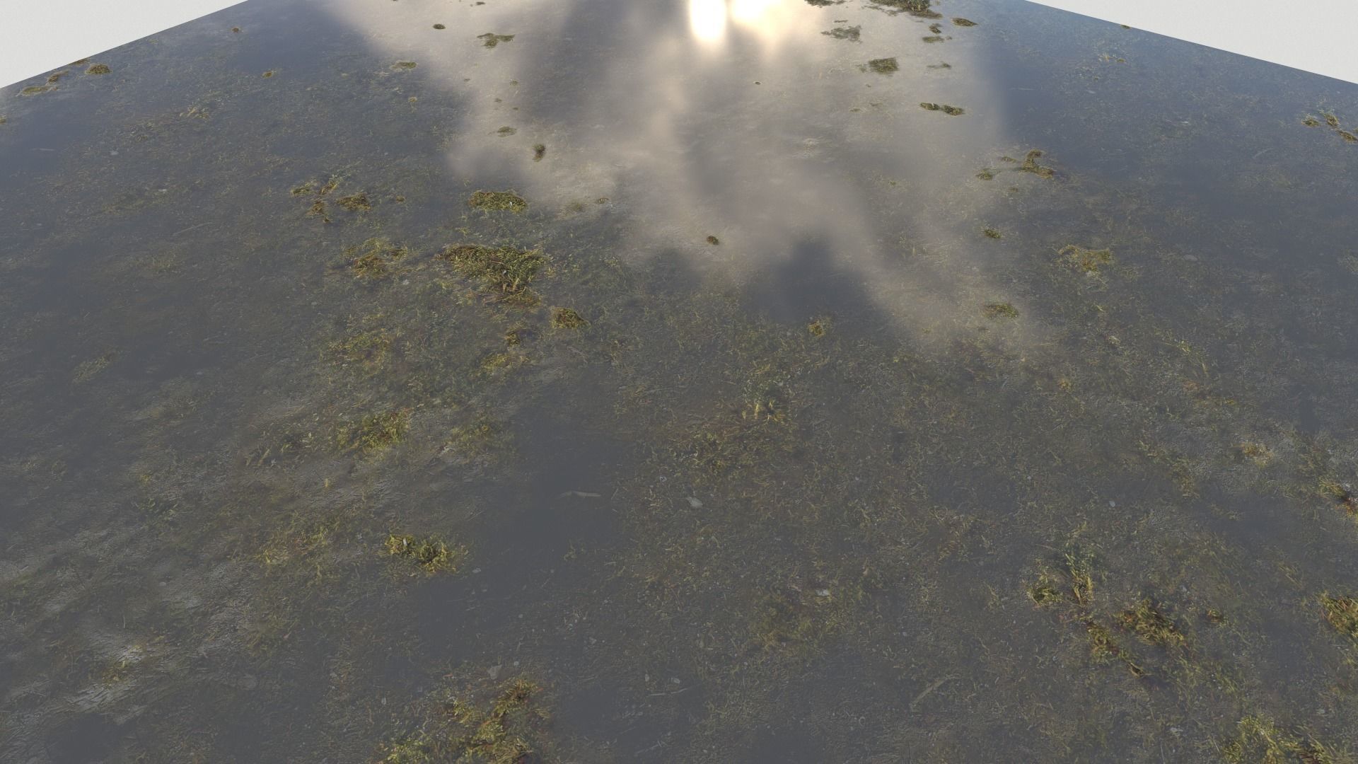 Water with algae PBR Texture_32