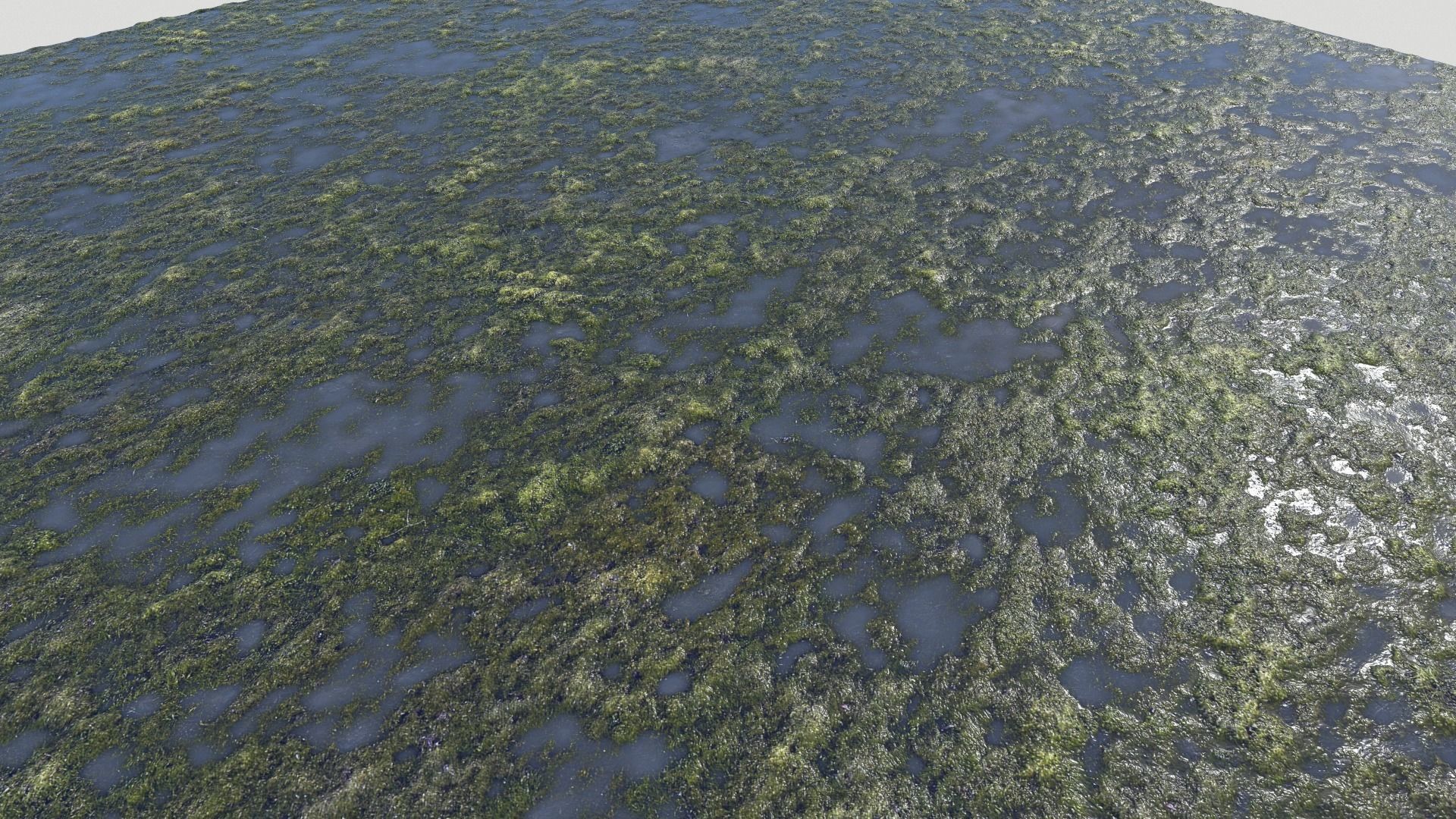 Water with algae PBR Texture_10