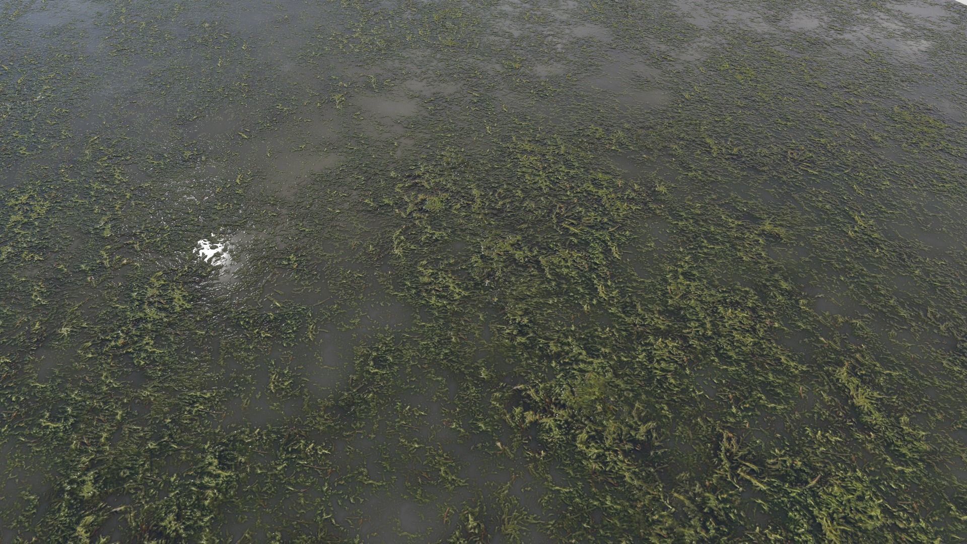 Water with algae PBR Texture_21
