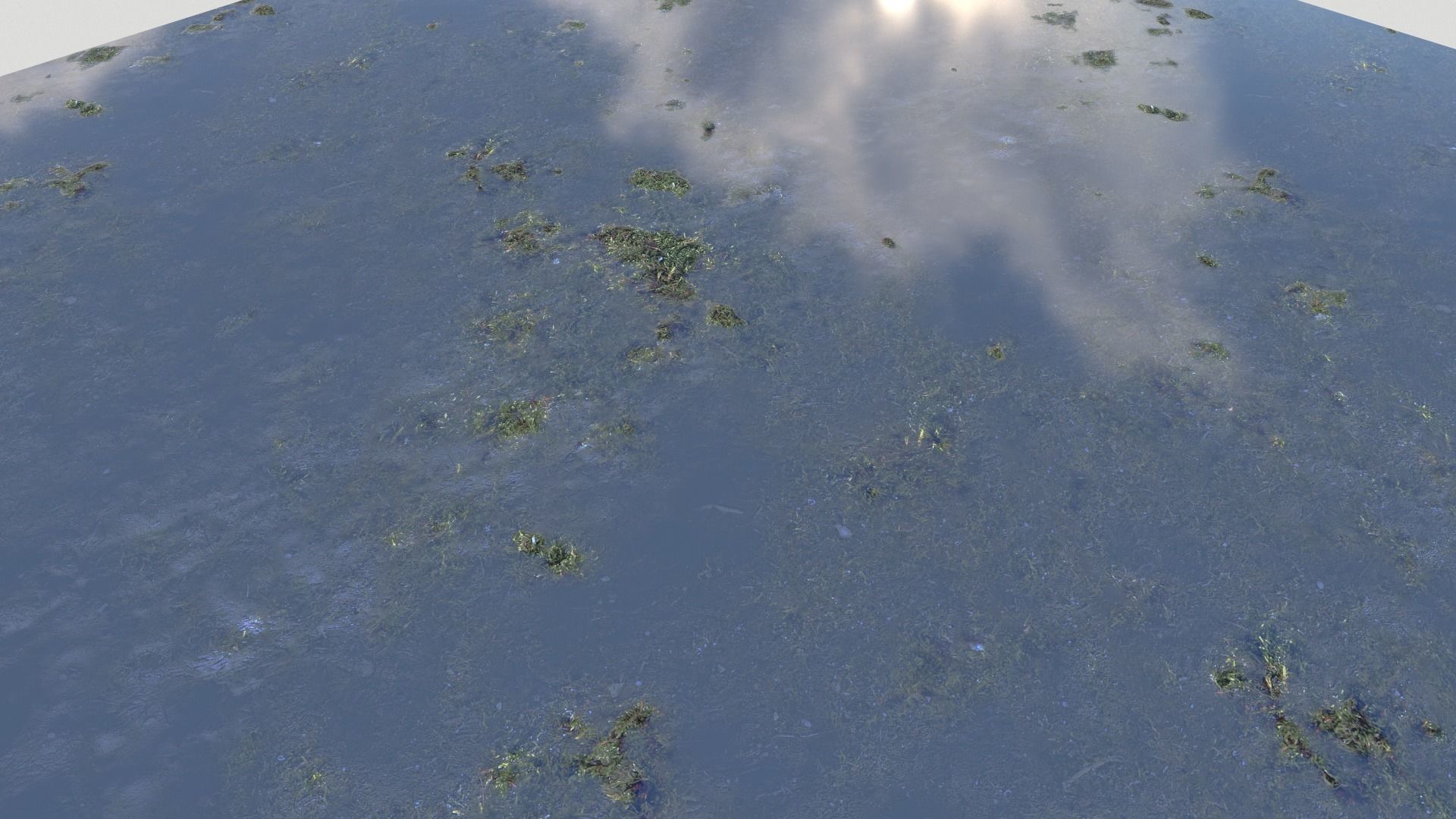 Water with algae PBR Texture_29