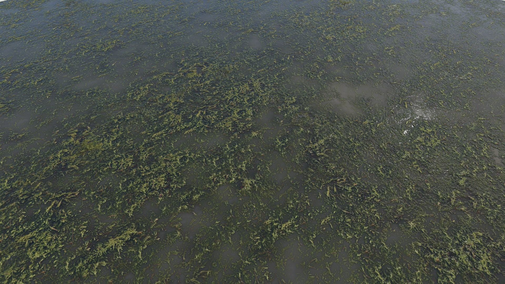 Water with algae PBR Texture_14