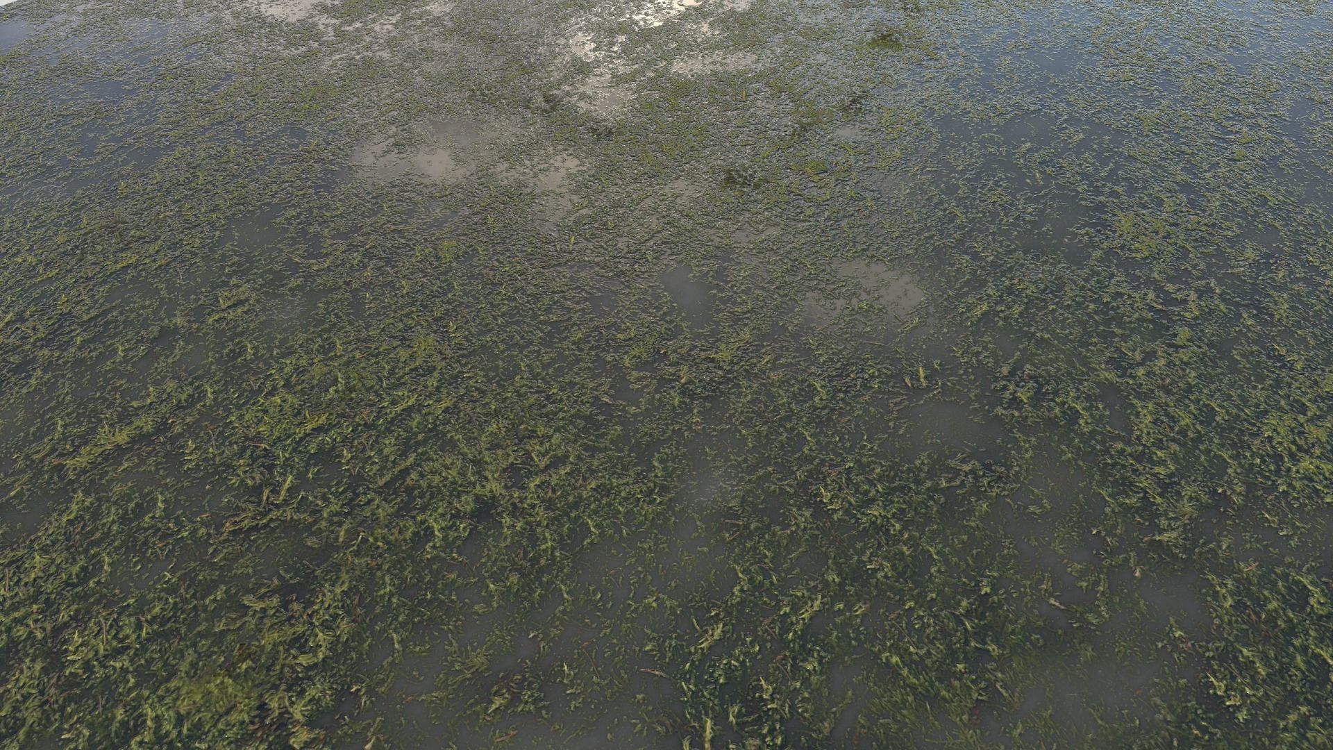 Water with algae PBR Texture_22