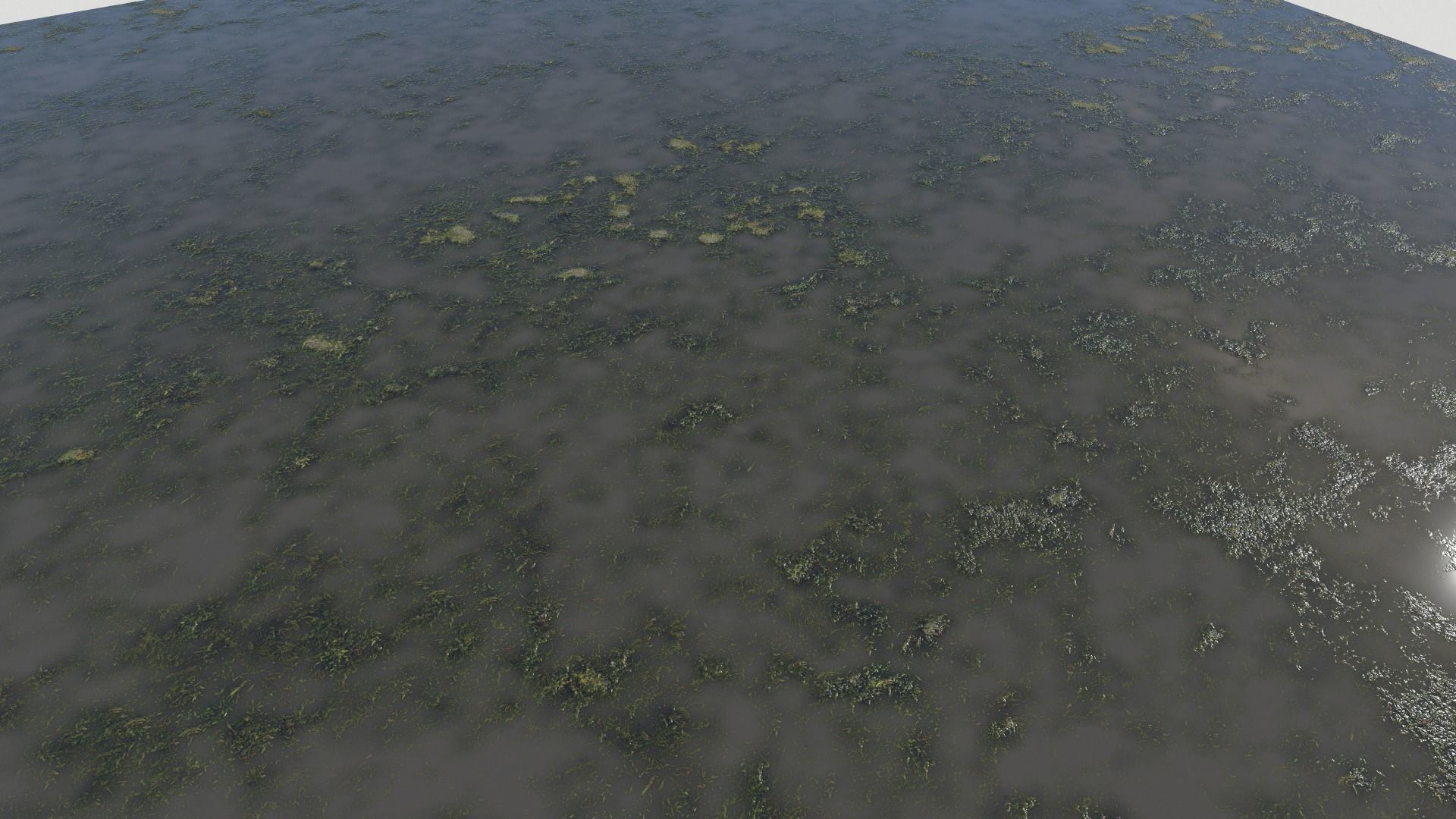 Water with algae PBR Texture_34