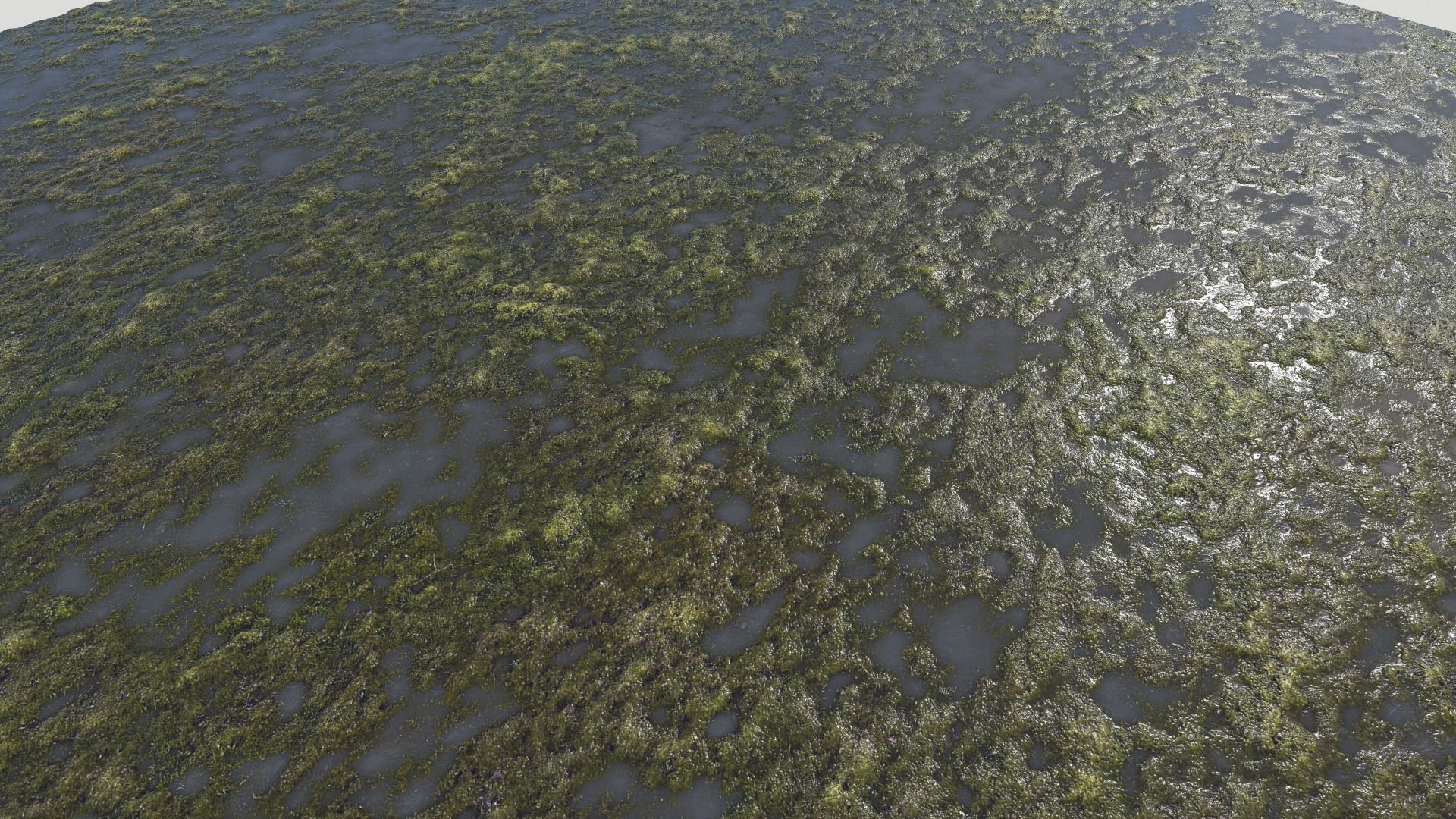 Water with algae PBR Texture_11