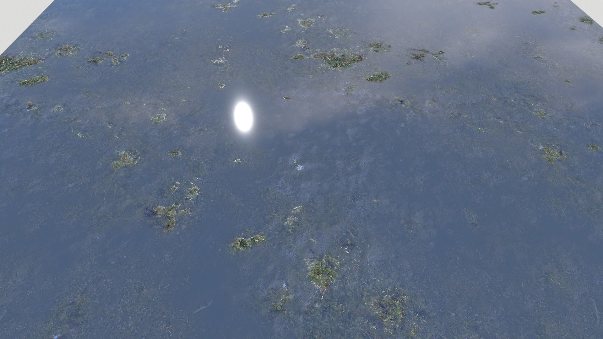 Water with algae PBR Texture_26