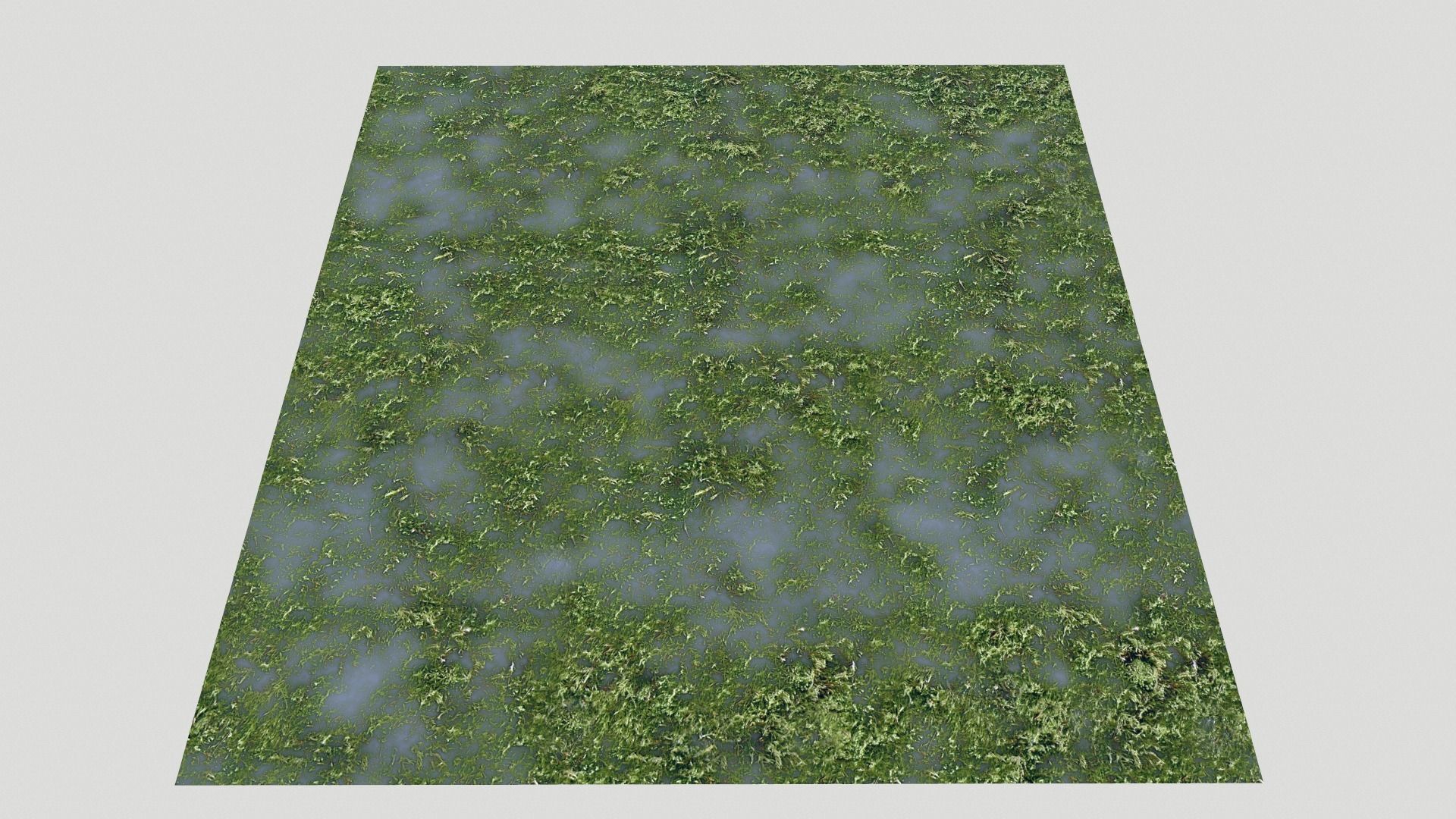 Water with algae PBR Texture_42