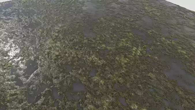 Water with algae PBR Texture
