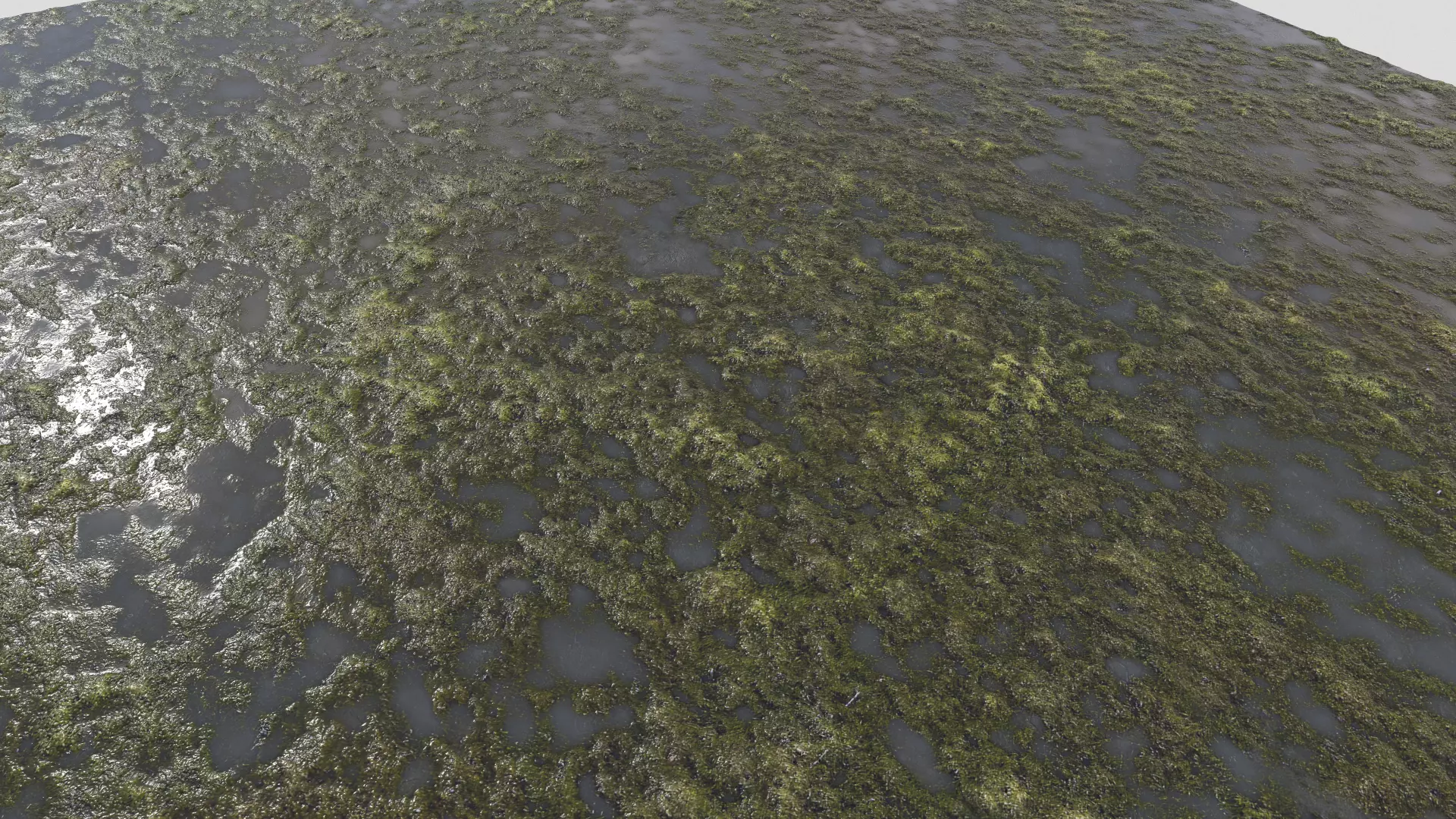 Water with algae PBR Texture_0
