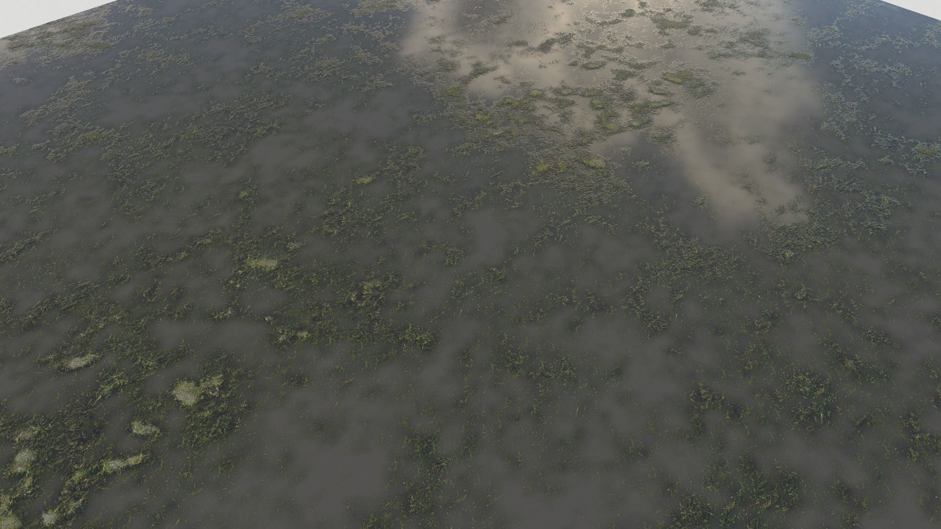 Water with algae PBR Texture_33